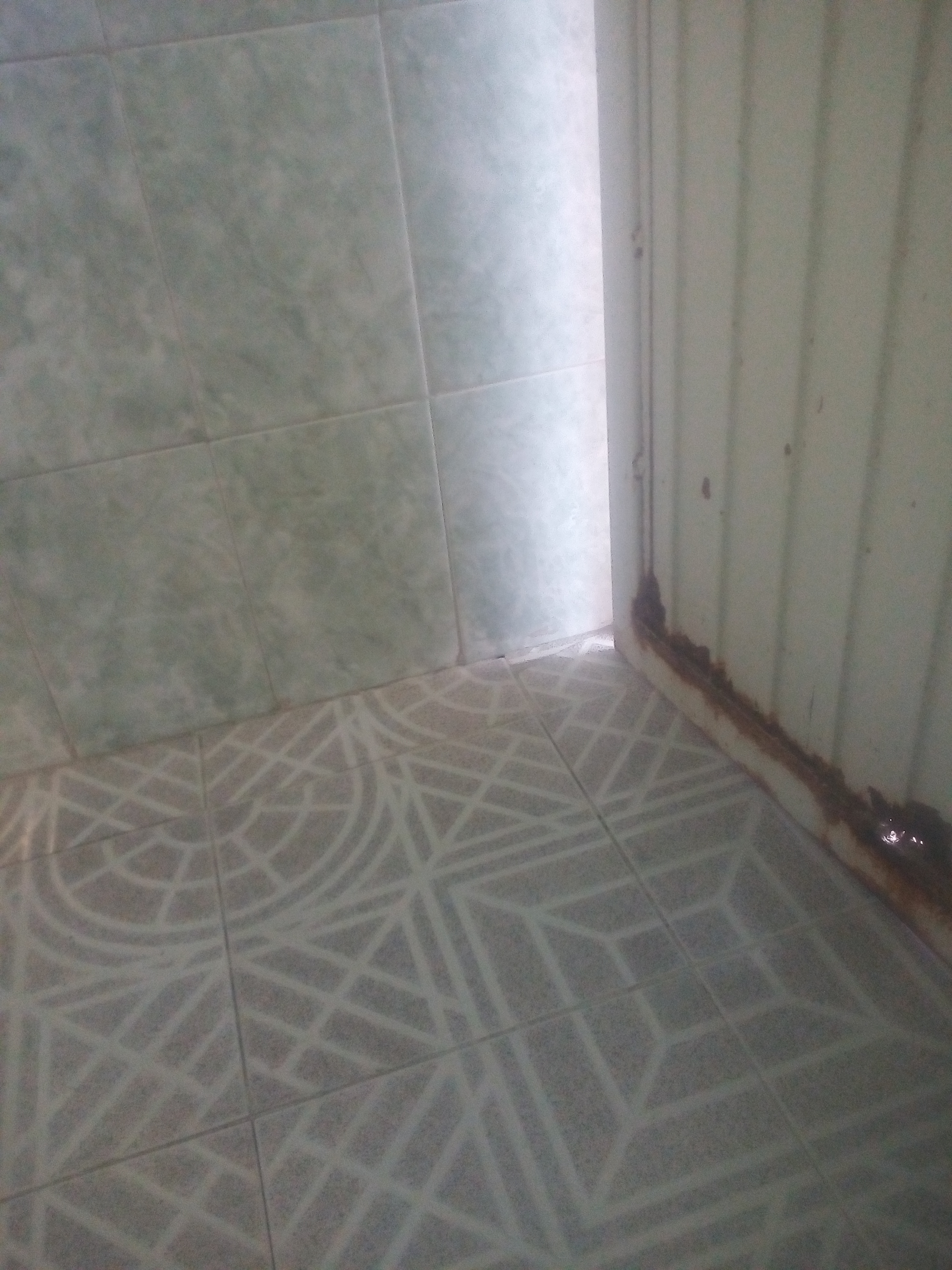 Burritos "Don Muertes" image 7