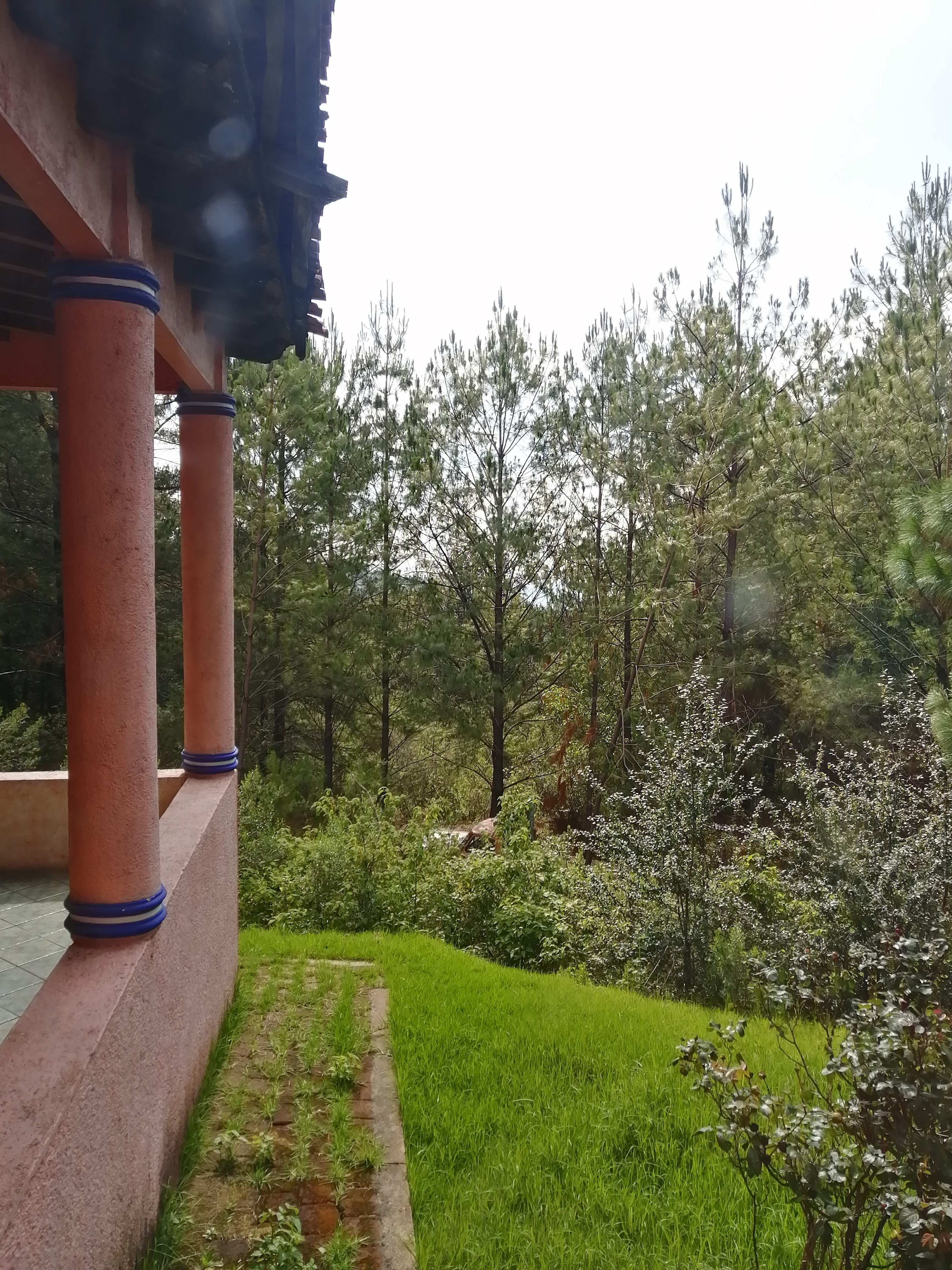 Restaurante "El Paraíso de Casanova" image 4