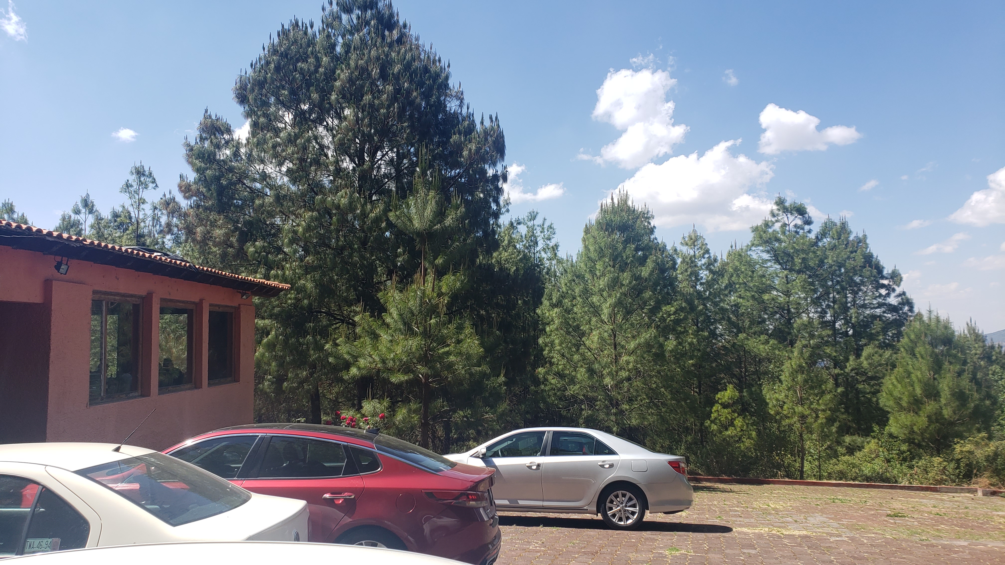 Restaurante "El Paraíso de Casanova" image 5