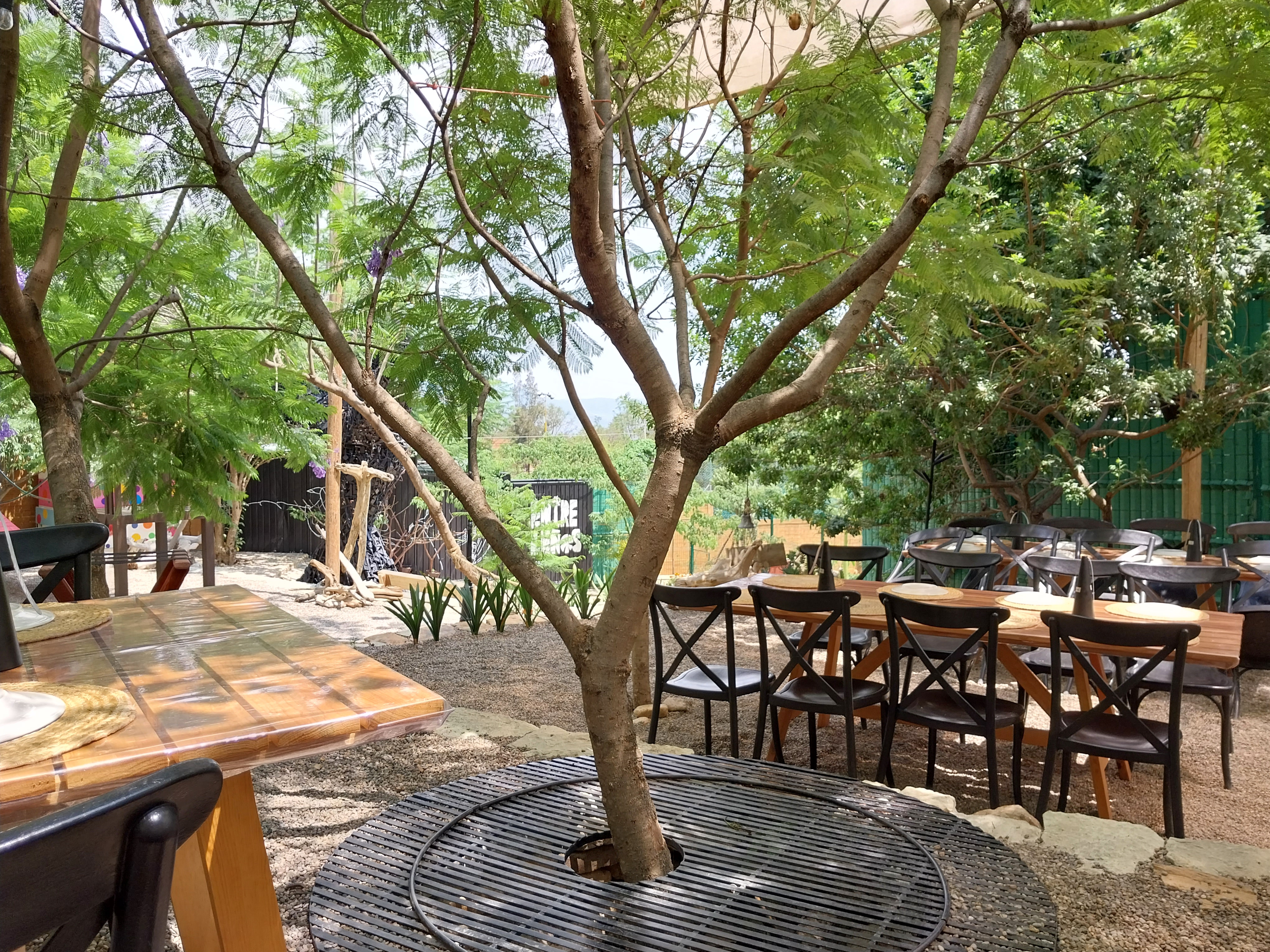 Entre Leños image 4