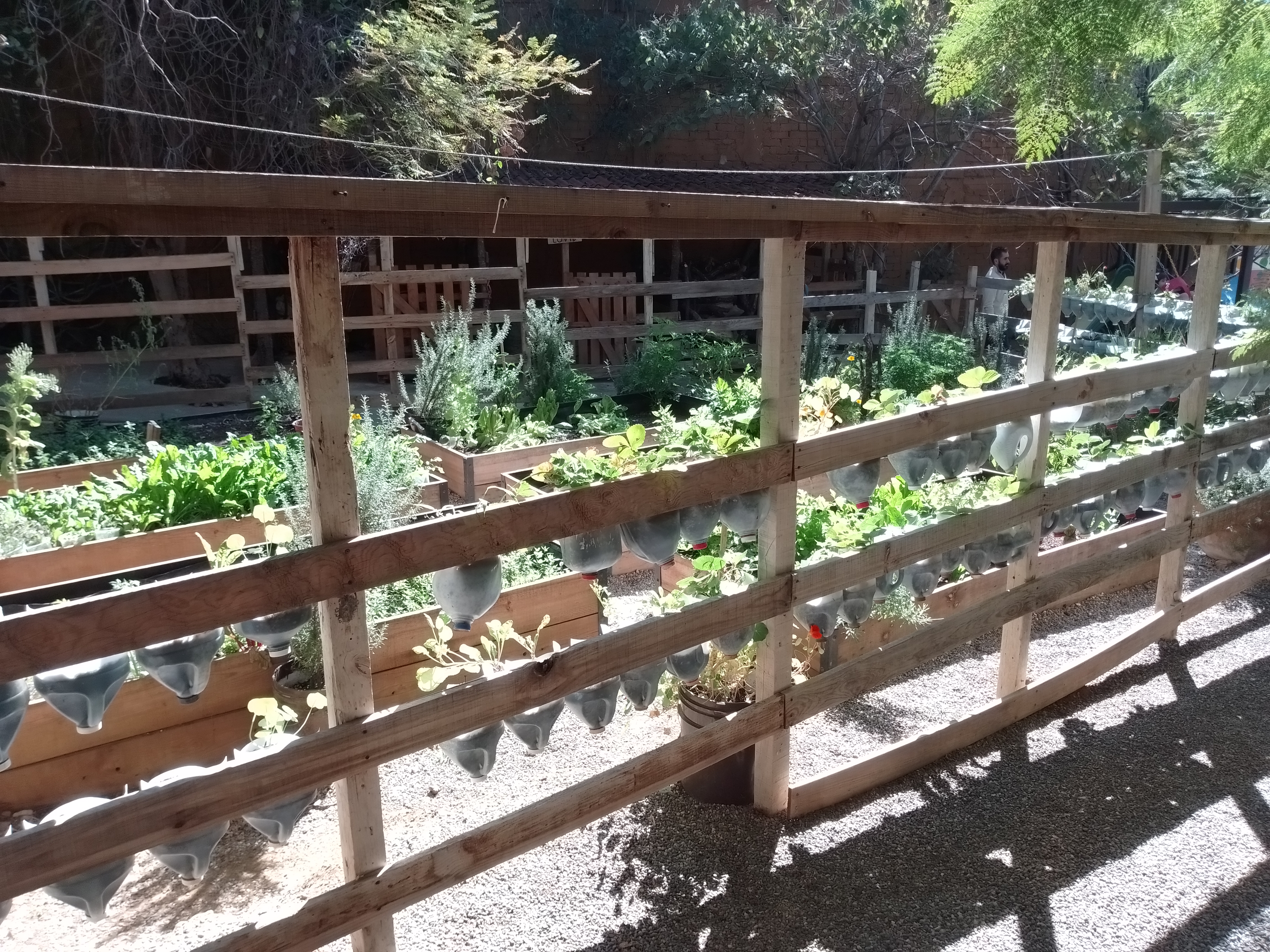 Entre Leños image 10