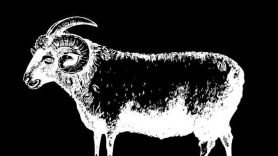 Barbacoa Obispo Cocina Rural image 4