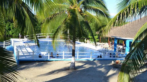 Cocos Beach Restaurante & Cabañas image 3