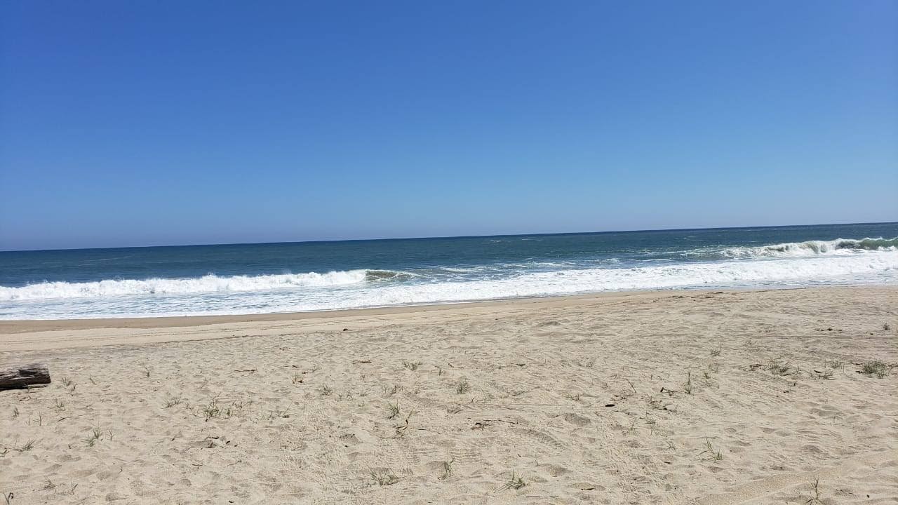 Cocos Beach Restaurante & Cabañas image 4