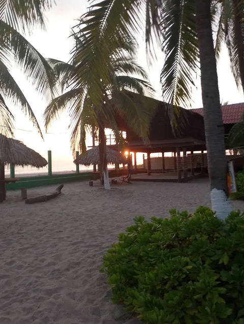 Cocos Beach Restaurante & Cabañas image 5
