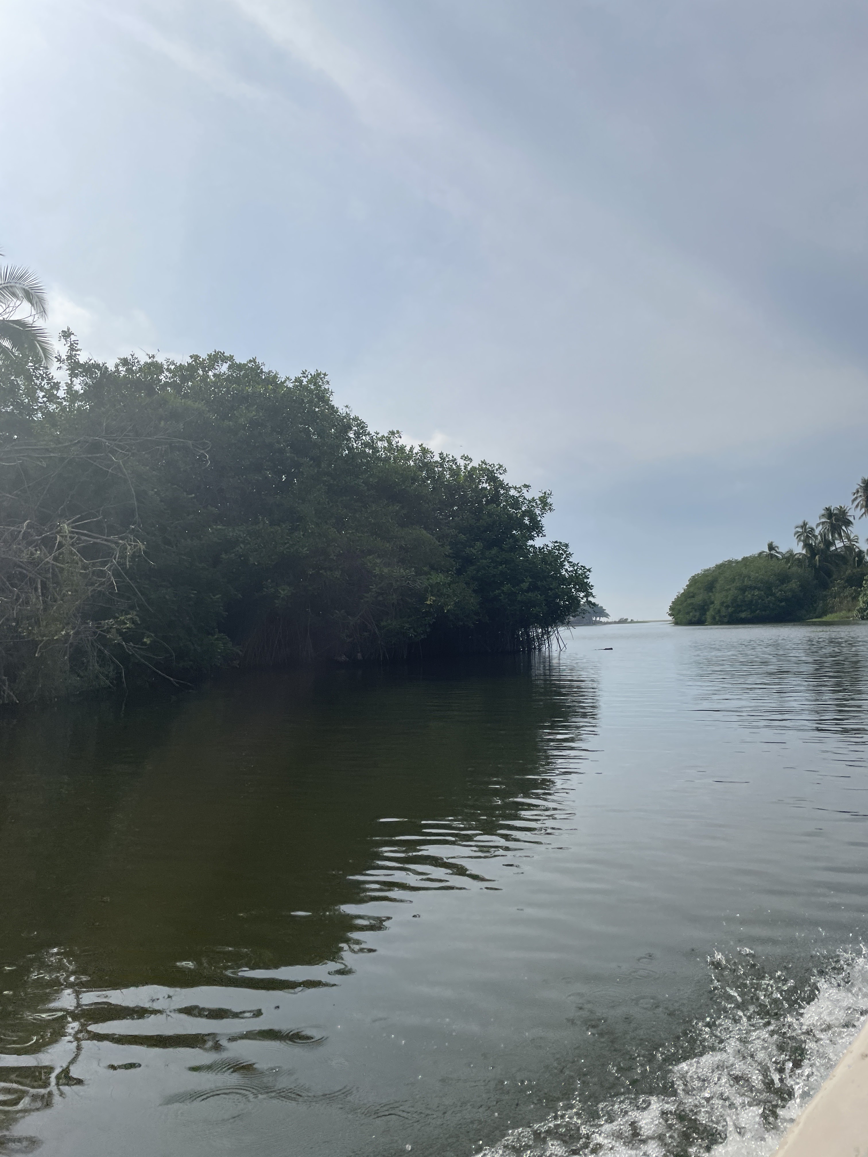 Cocos Beach Restaurante & Cabañas image 6