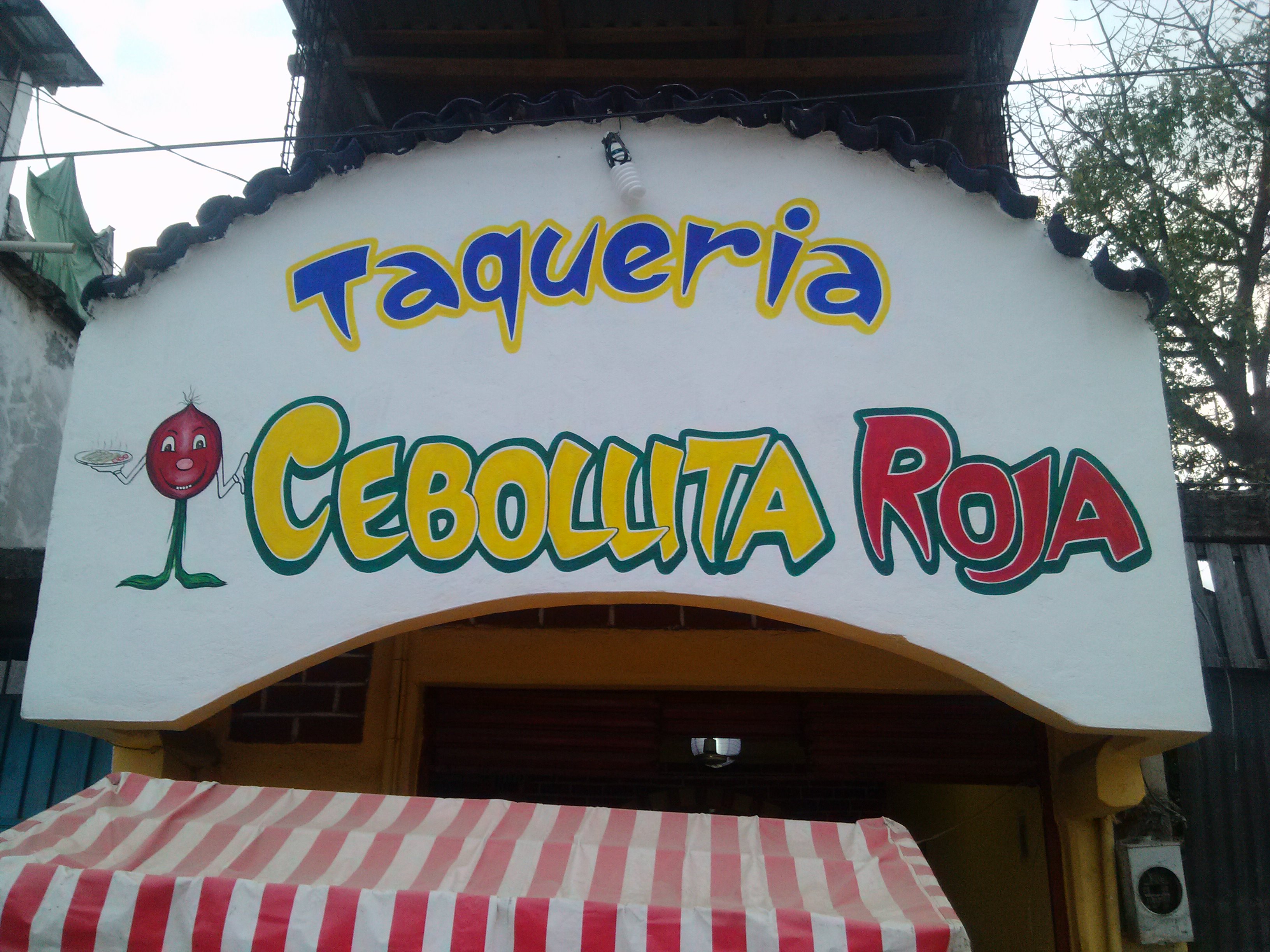 La Cebollita Roja image 10