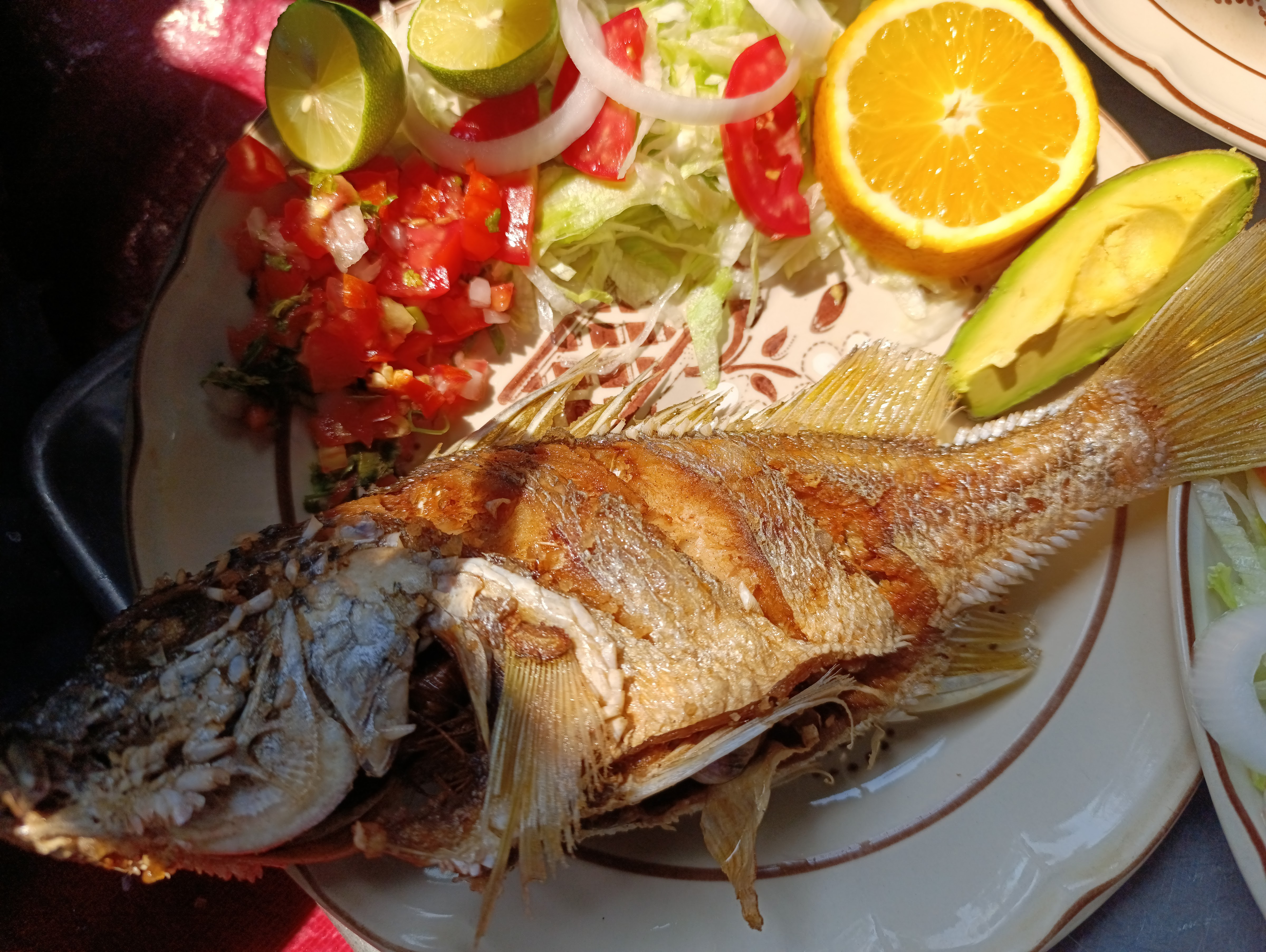 Restaurant Doña Martha image 2