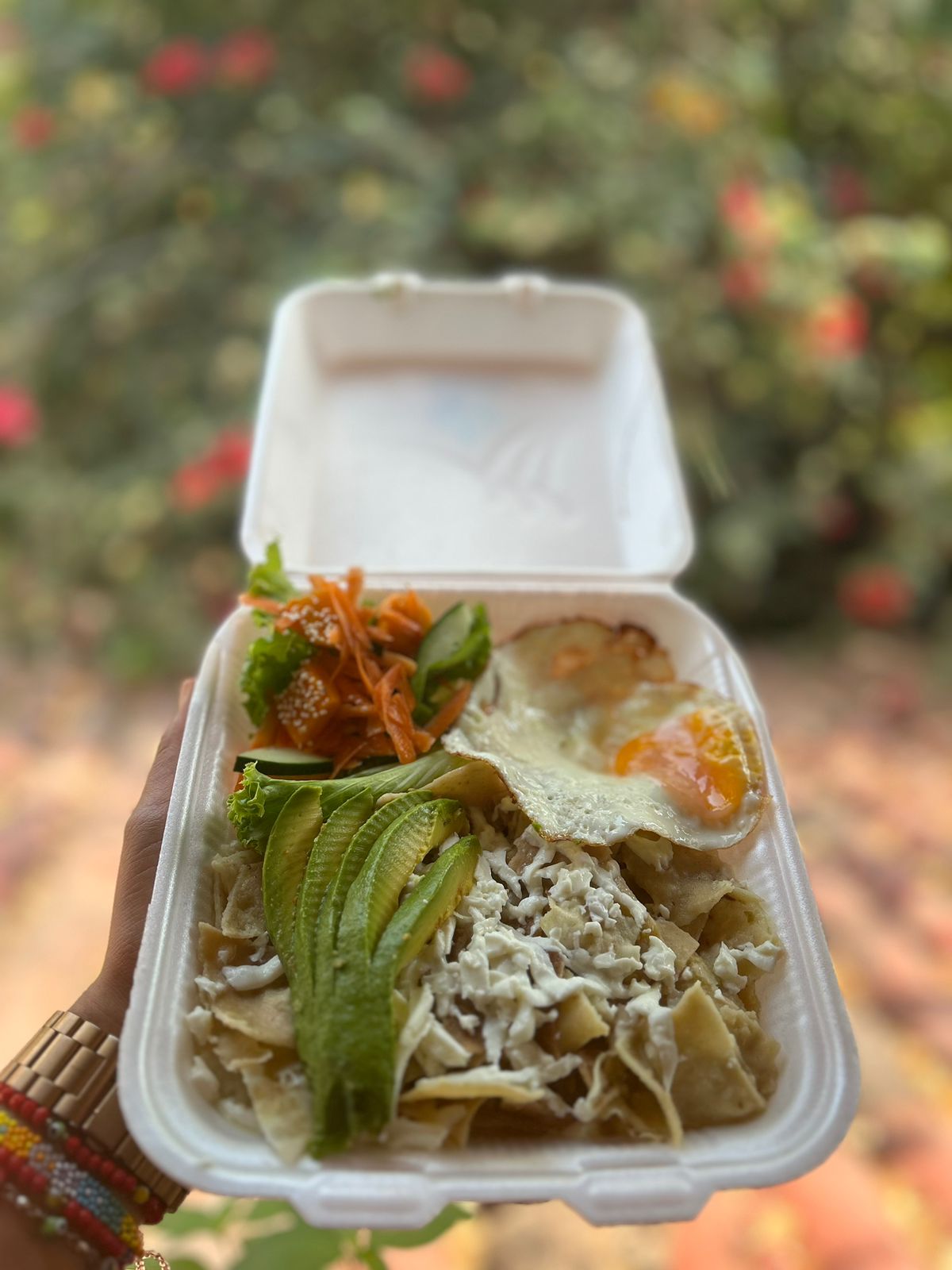 Verdecito Atoyac image 3