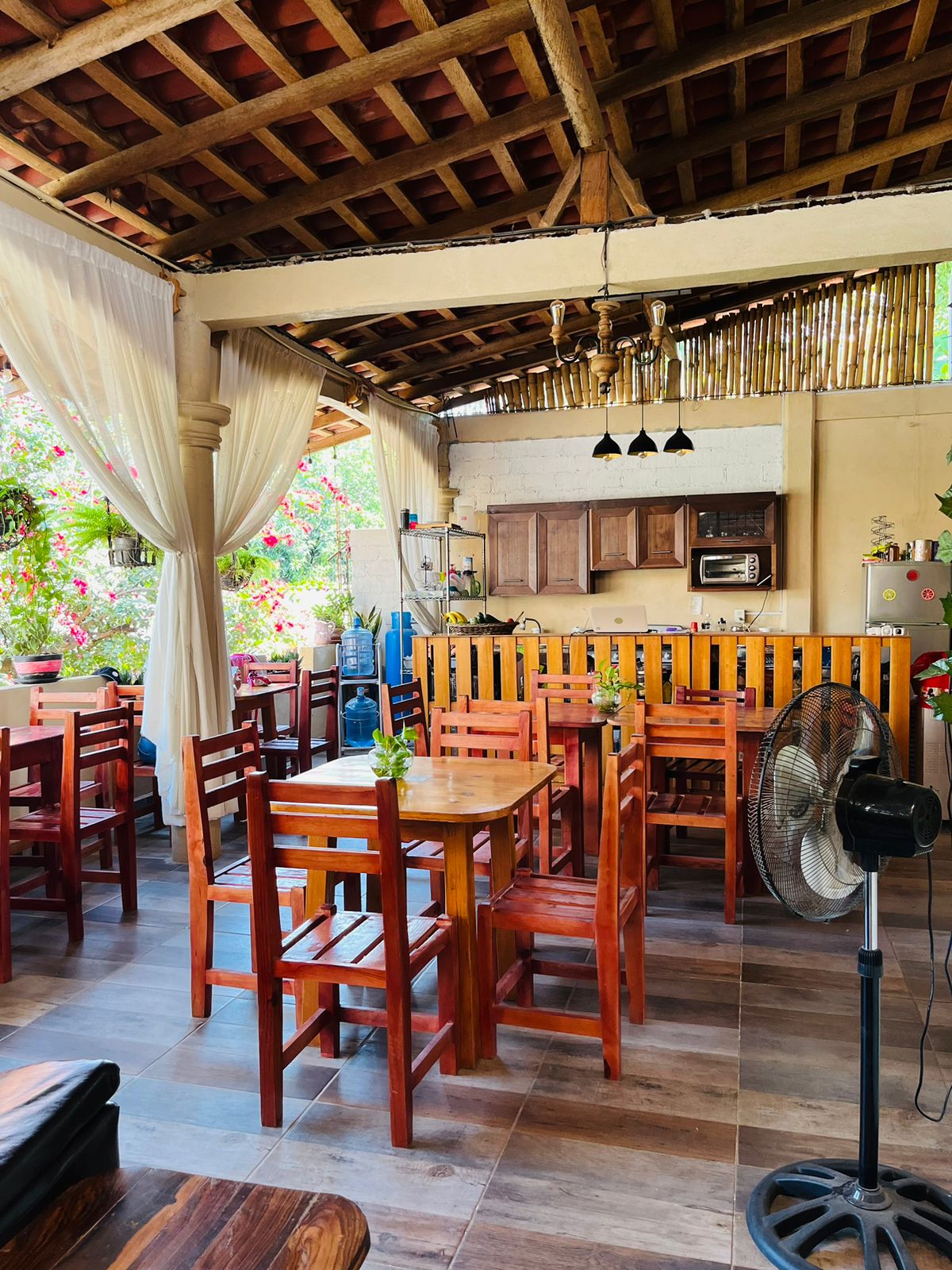 Verdecito Atoyac image 6