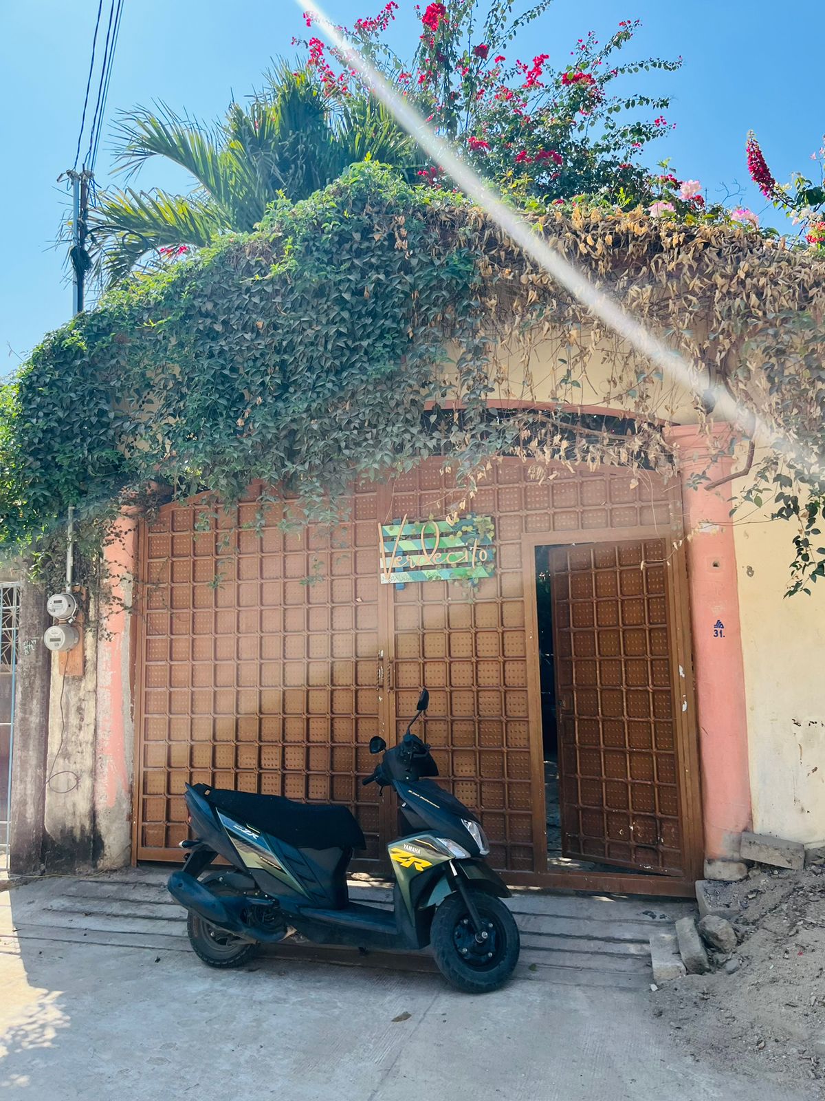 Verdecito Atoyac image 7