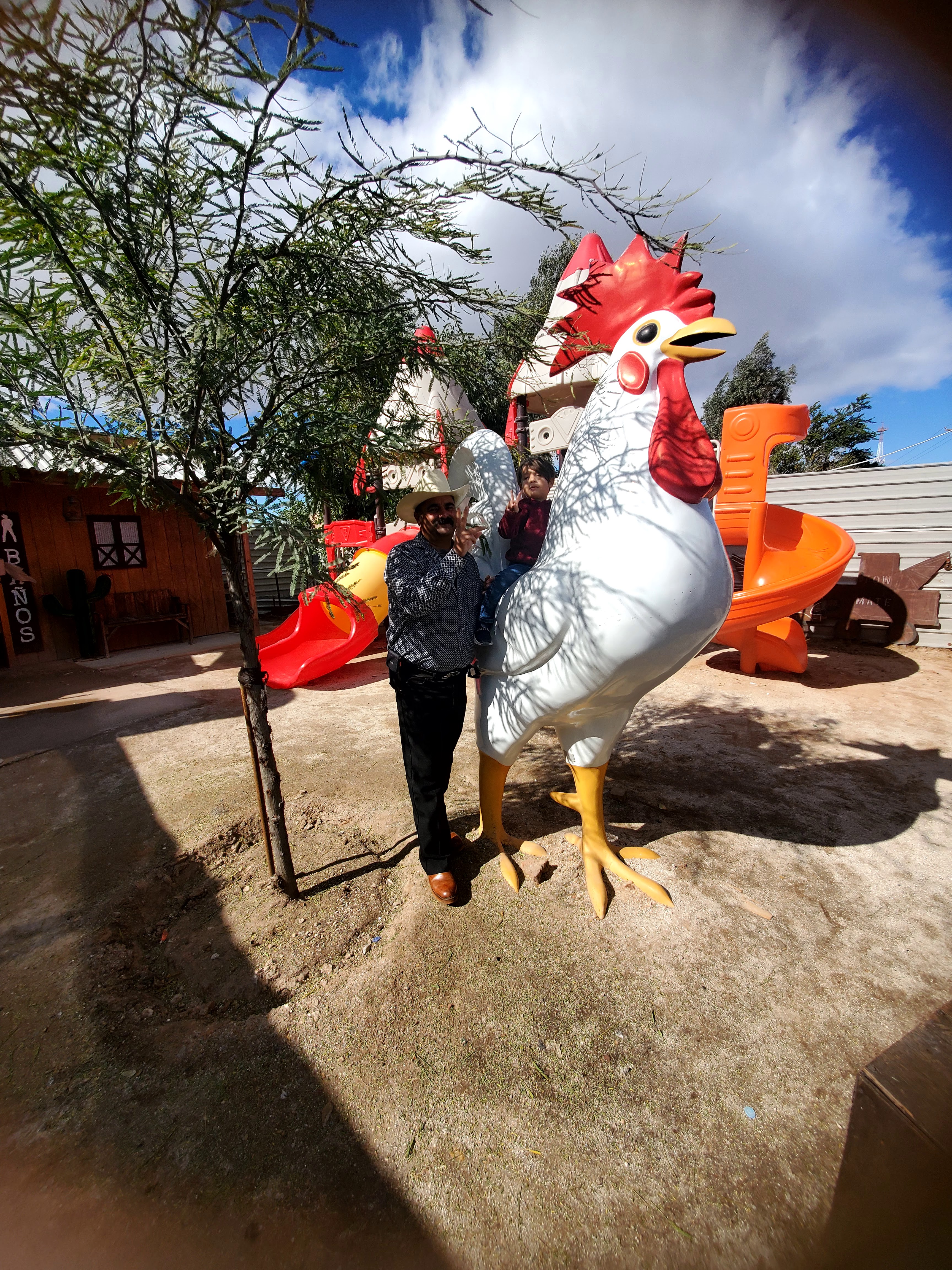 La Casita Del Arbol image 3