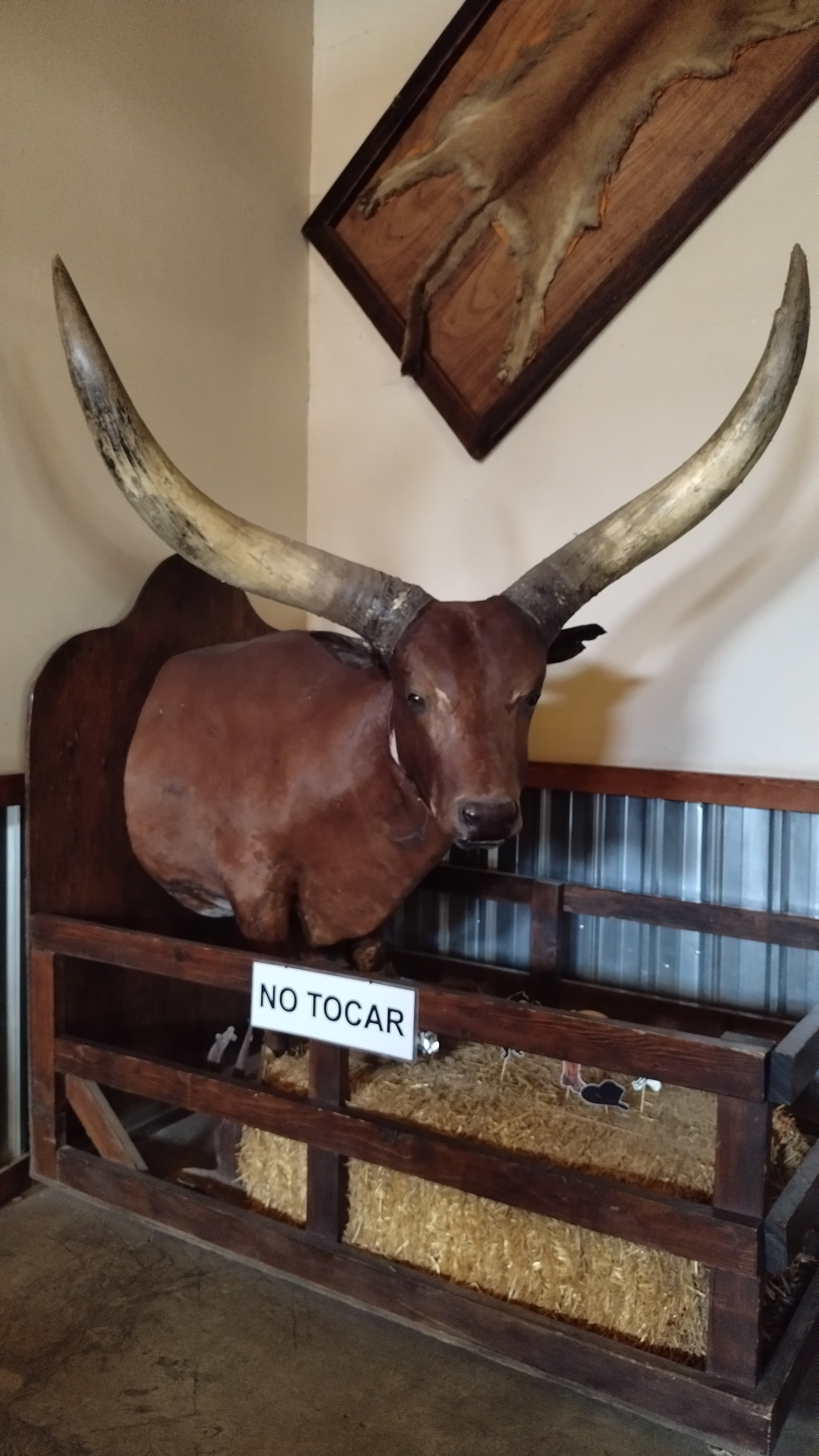 Restaurante El Campirano image 7