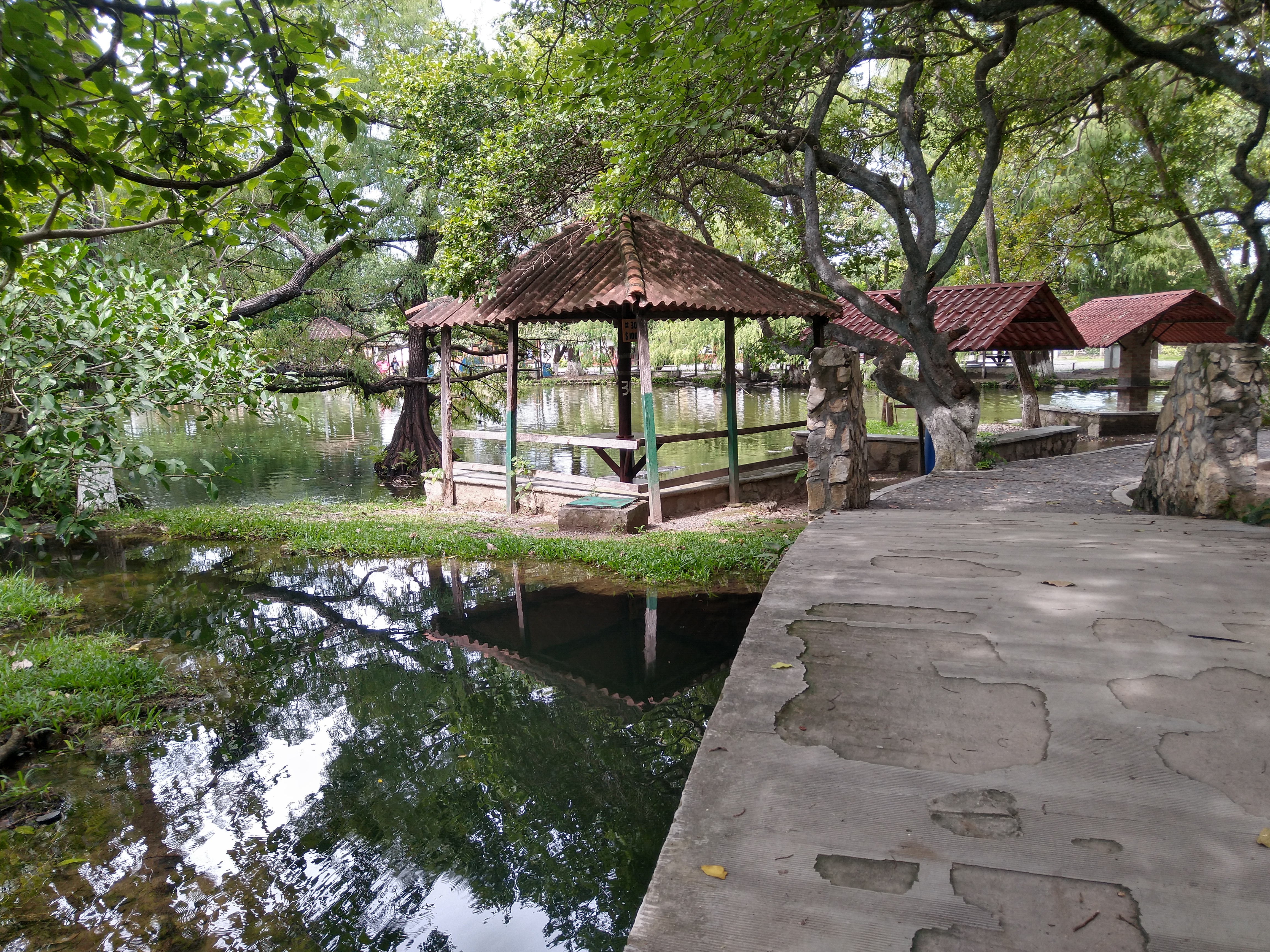 Antojitos Cardenas 2 image 6