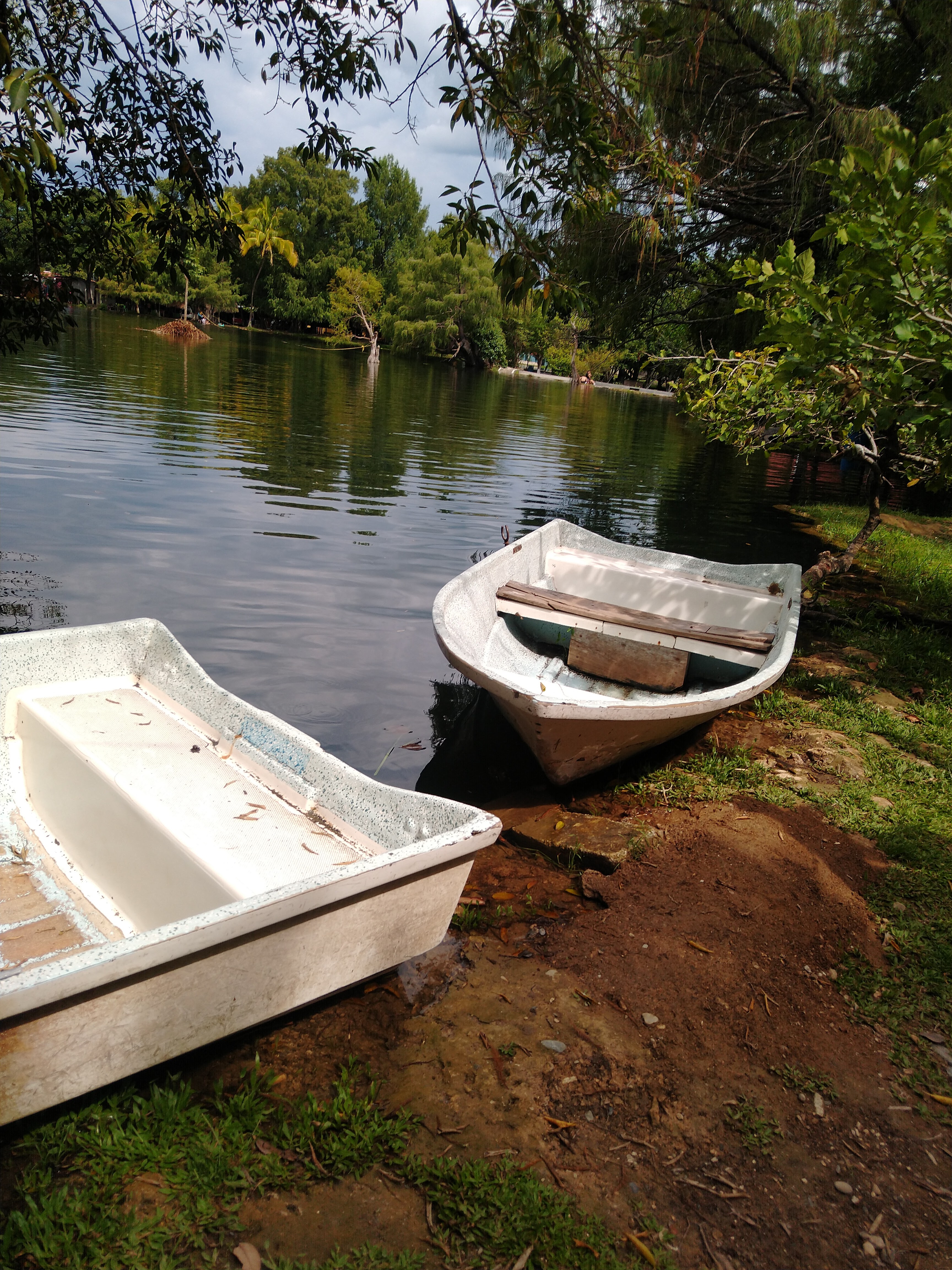 Antojitos Cardenas 2 image 8