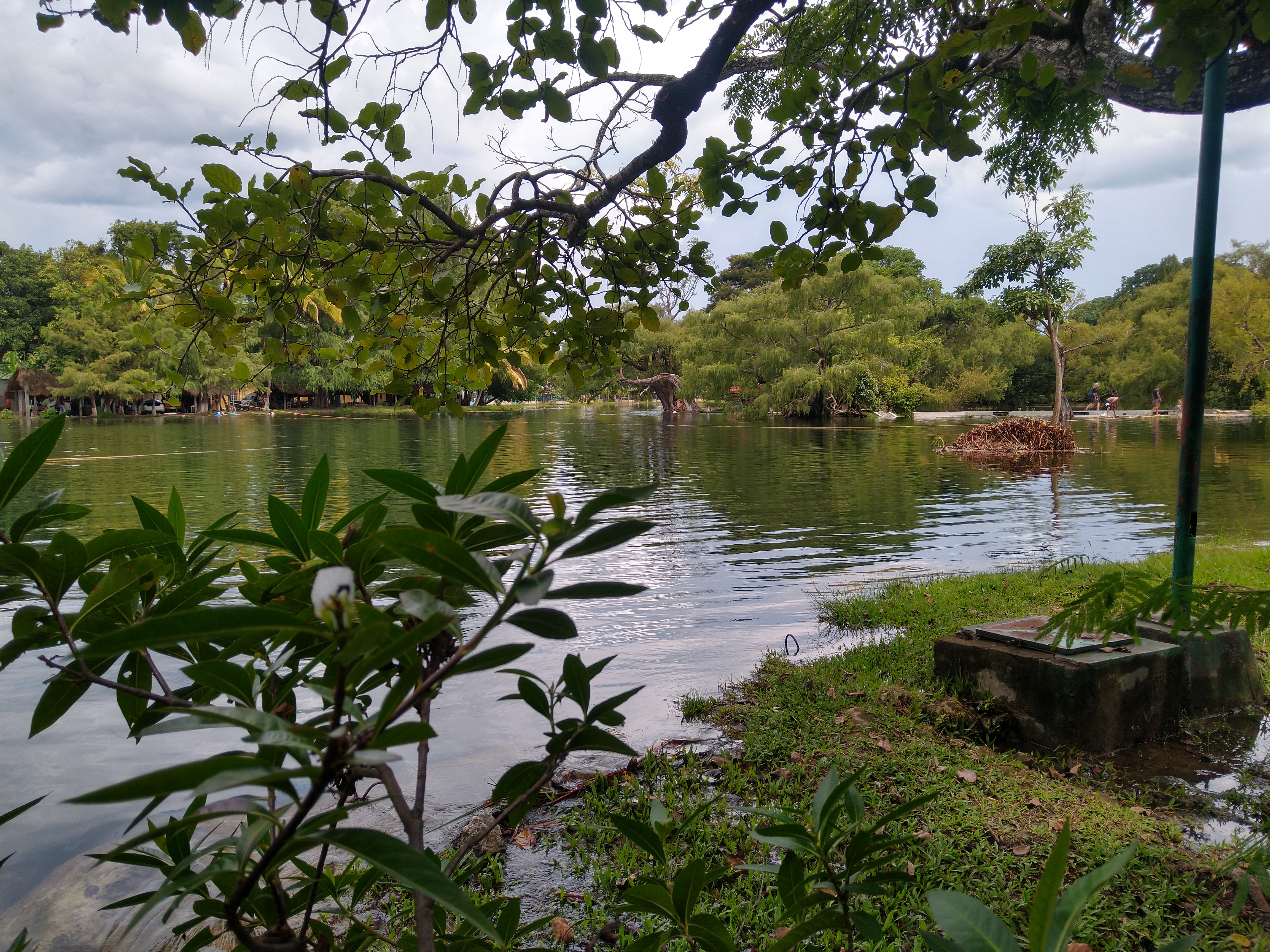 Antojitos Cardenas 2 image 9