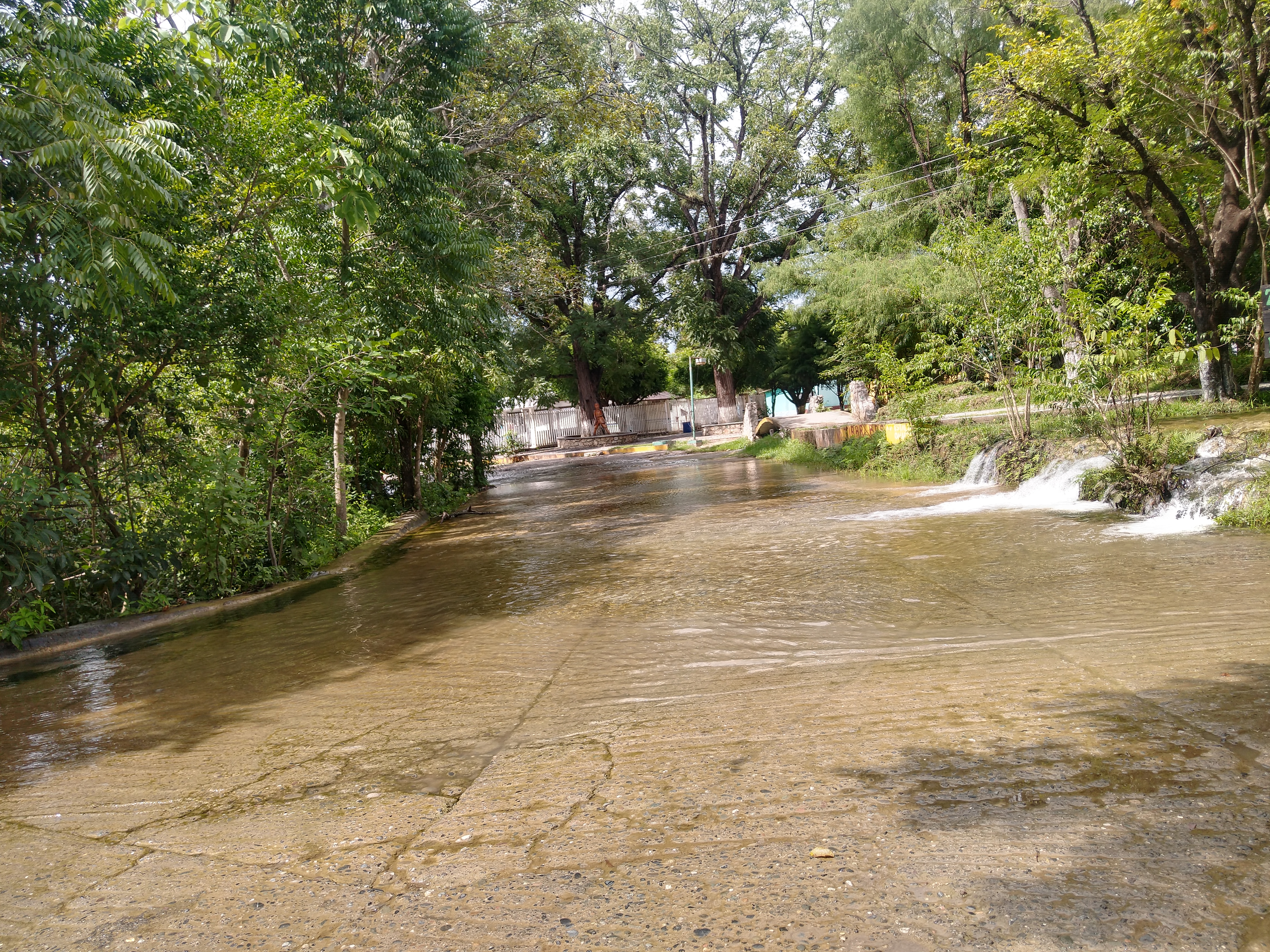 Antojitos Cardenas 2 image 10