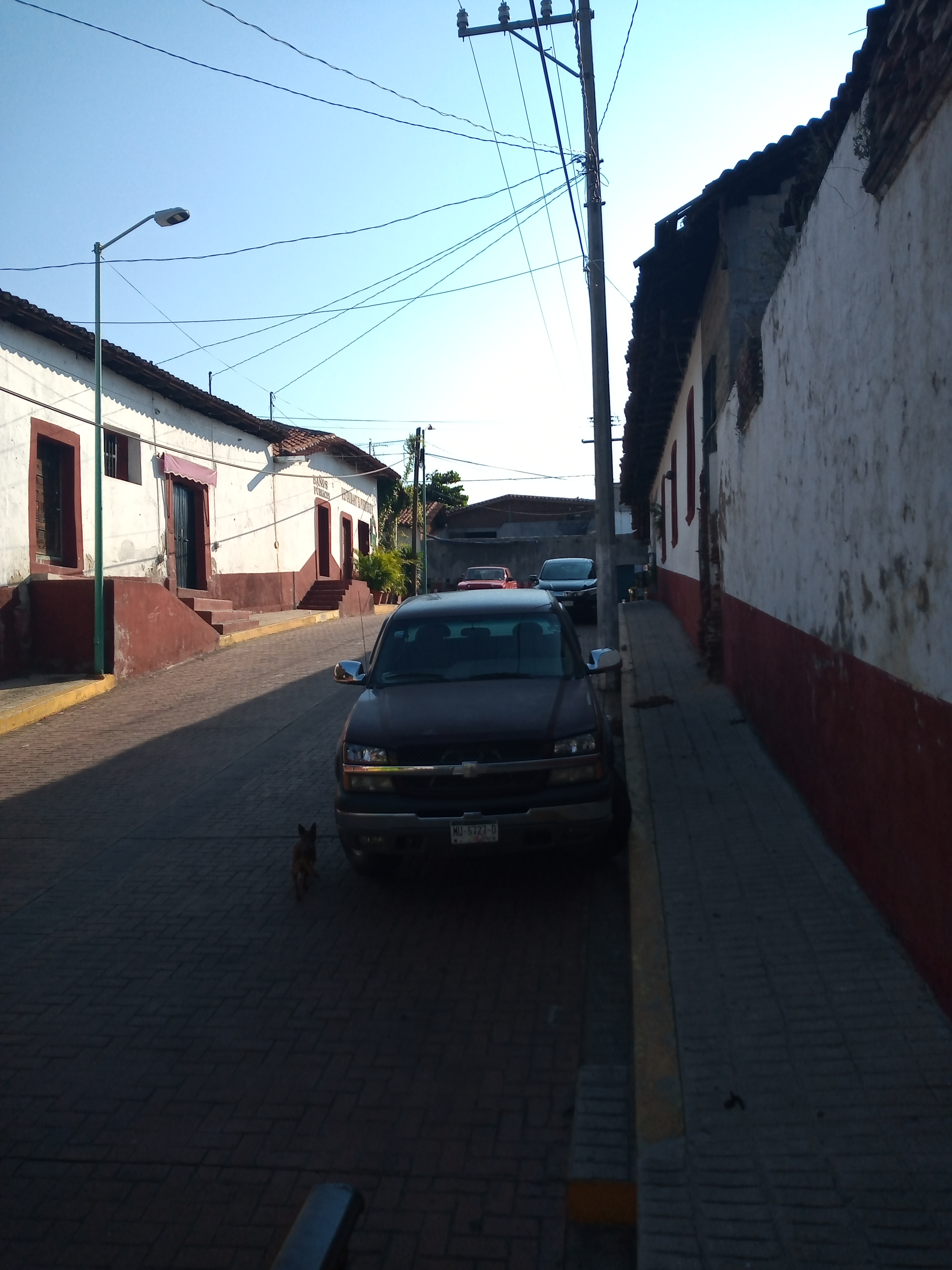 Mariscos y Restaurante Caracuaro comida tipica de tierra caliente image 10