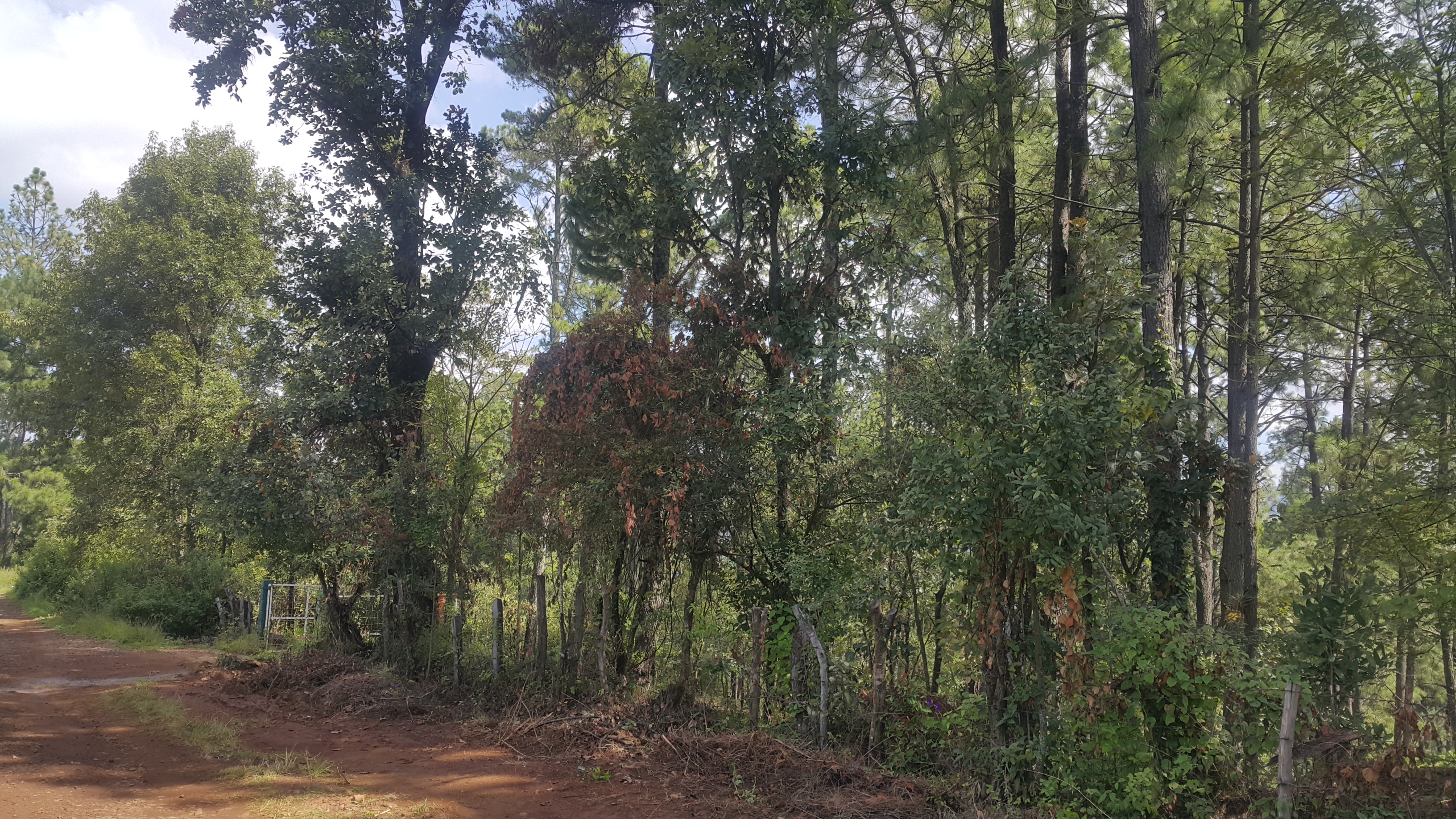 Villa Madero image 5