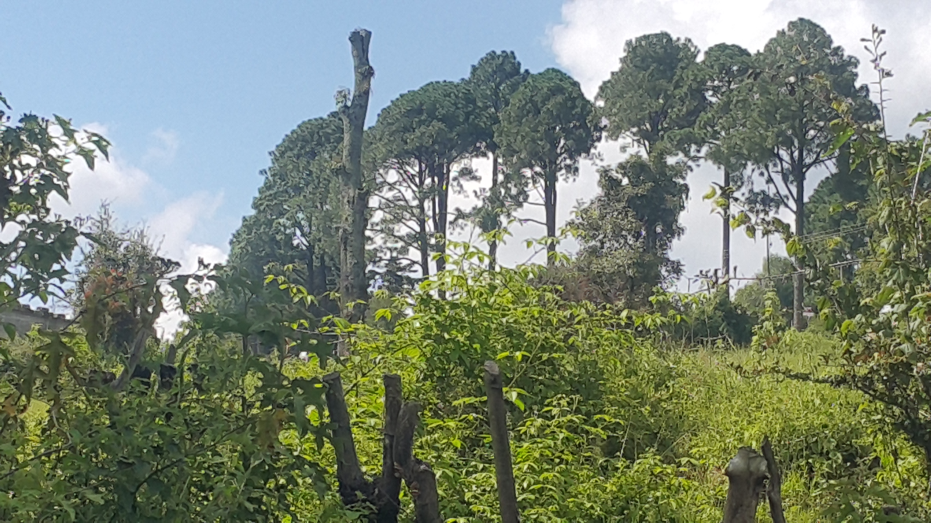 Villa Madero image 6