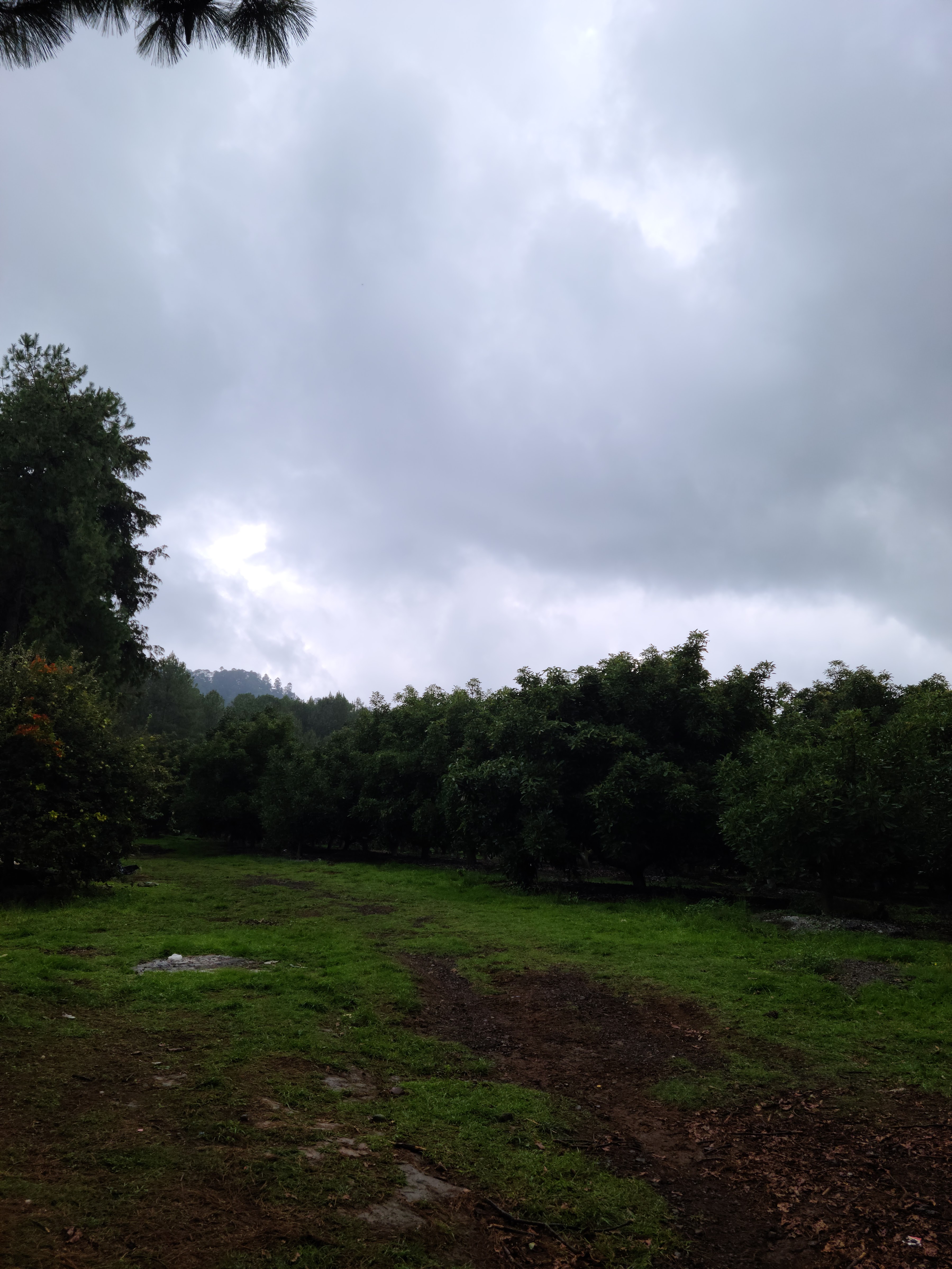 Villa Madero image 9