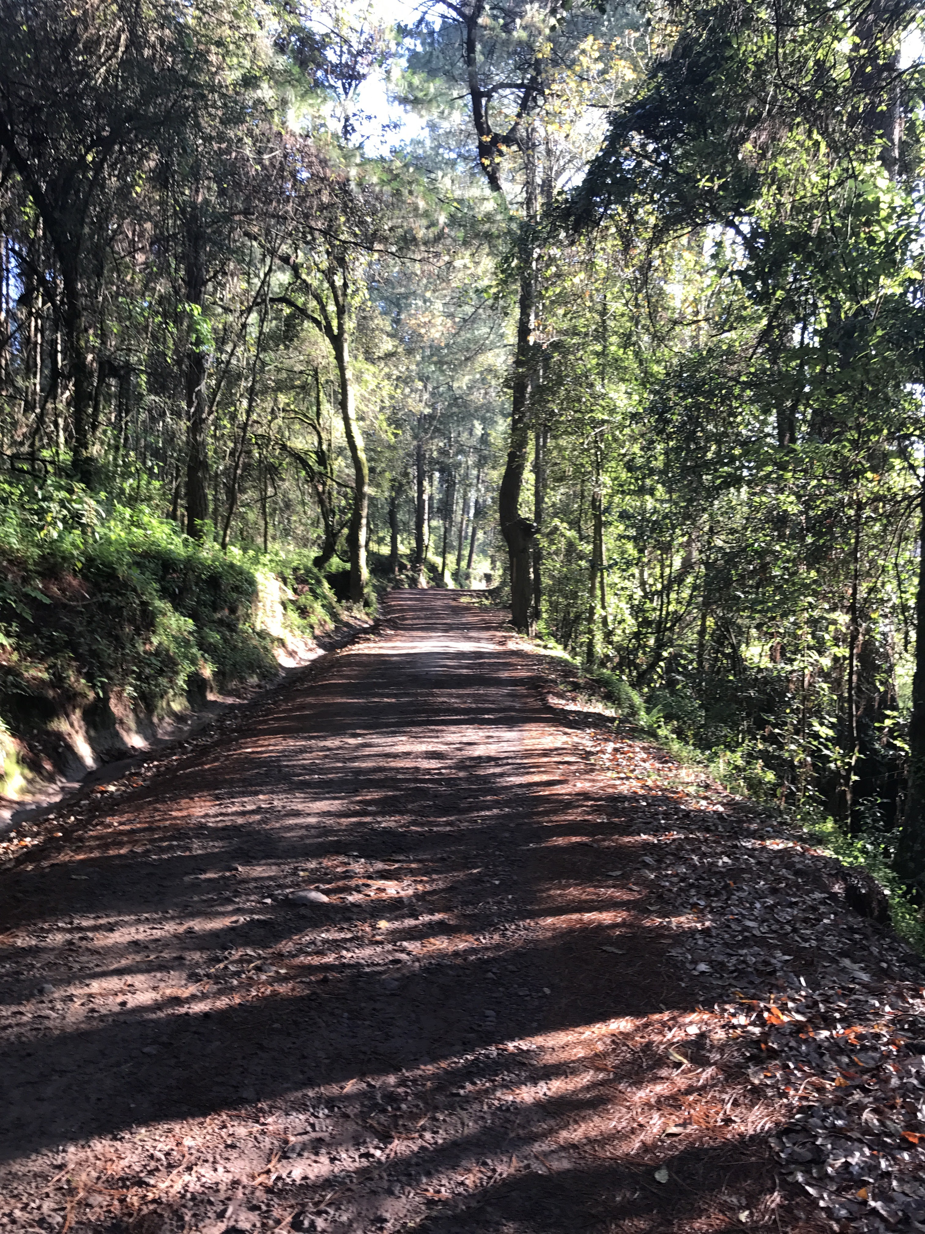 Villa Madero image 10