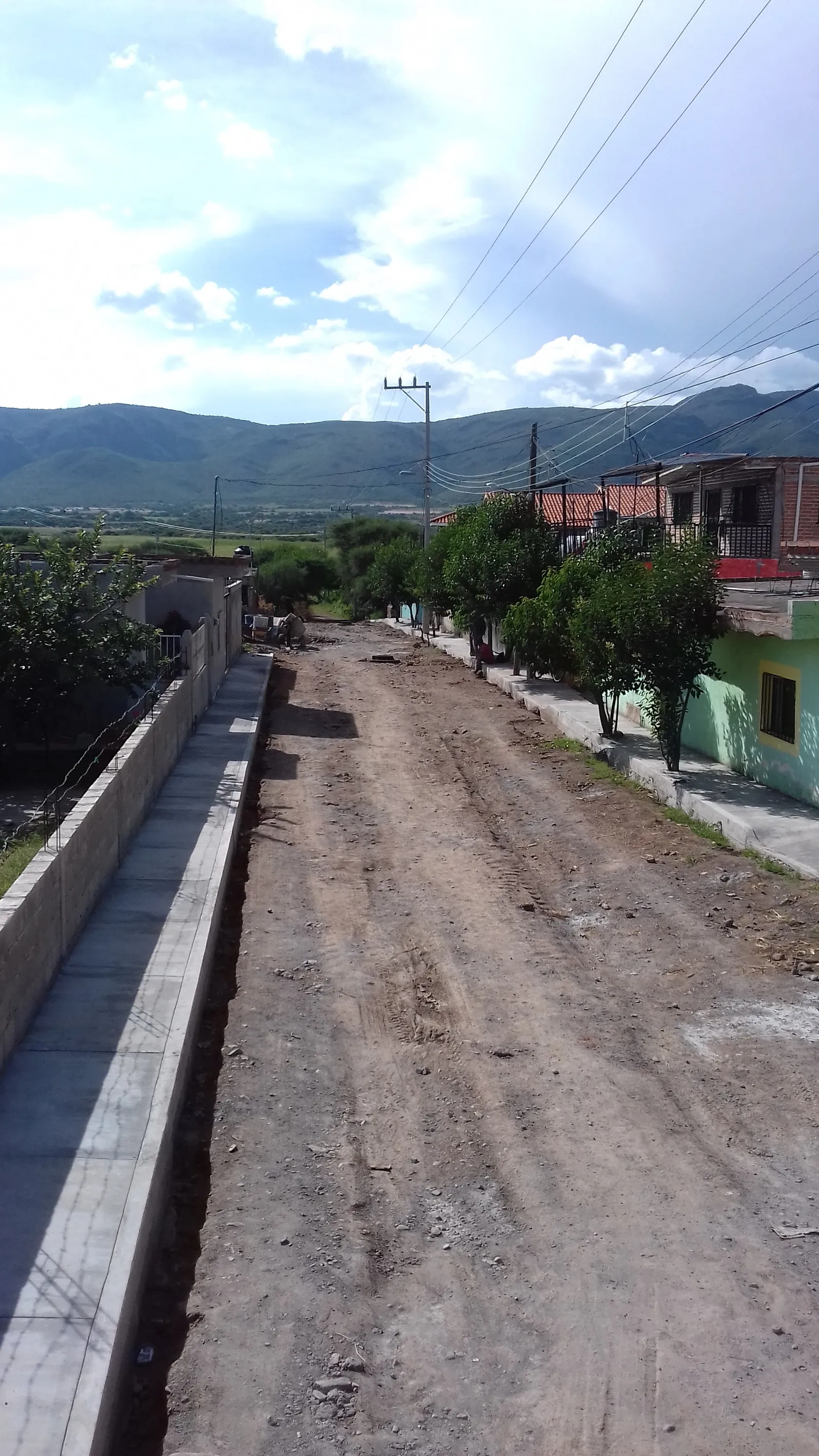 Tortas Gera image 8