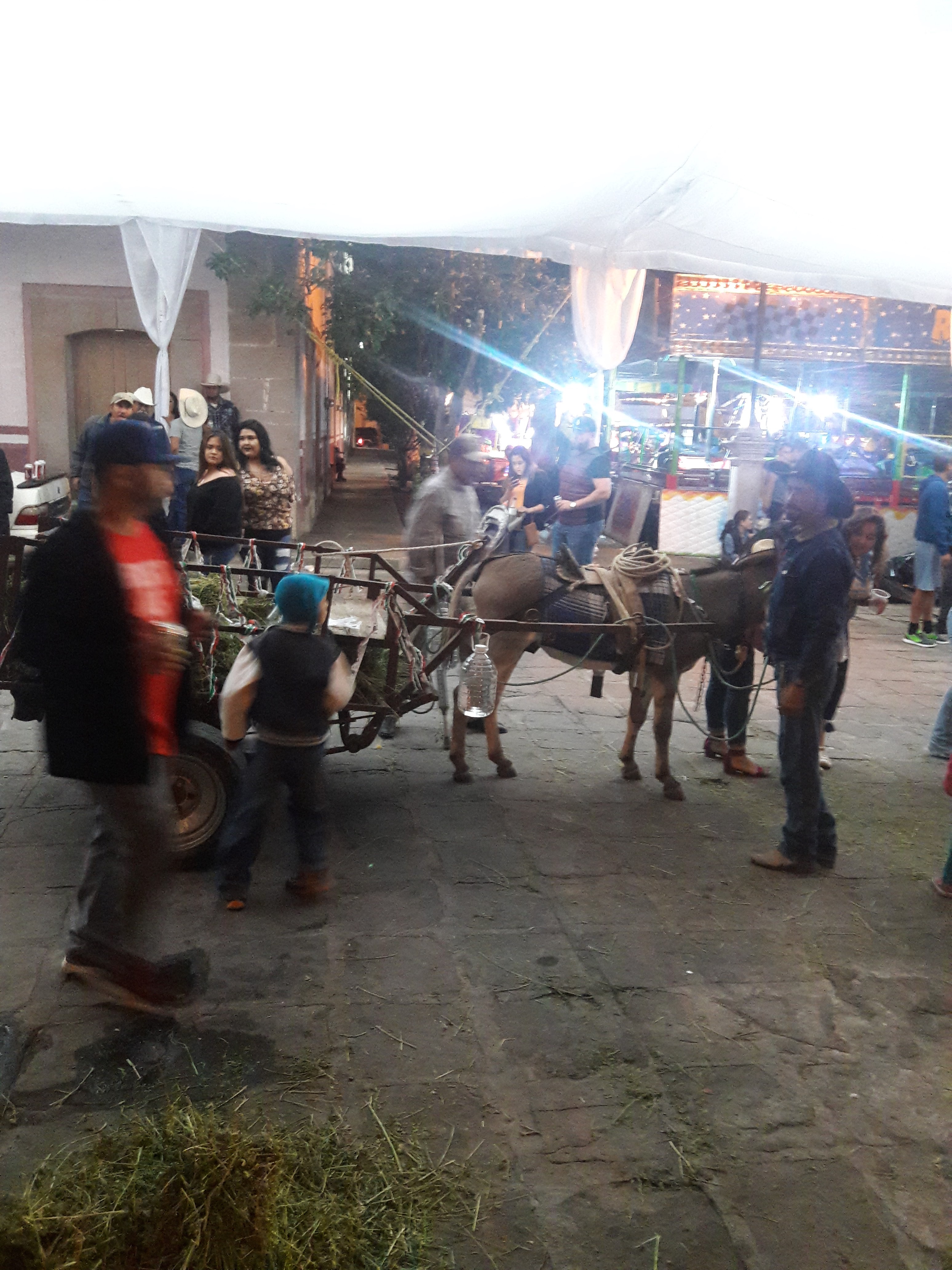 Lonchería La Guadalupana image 8