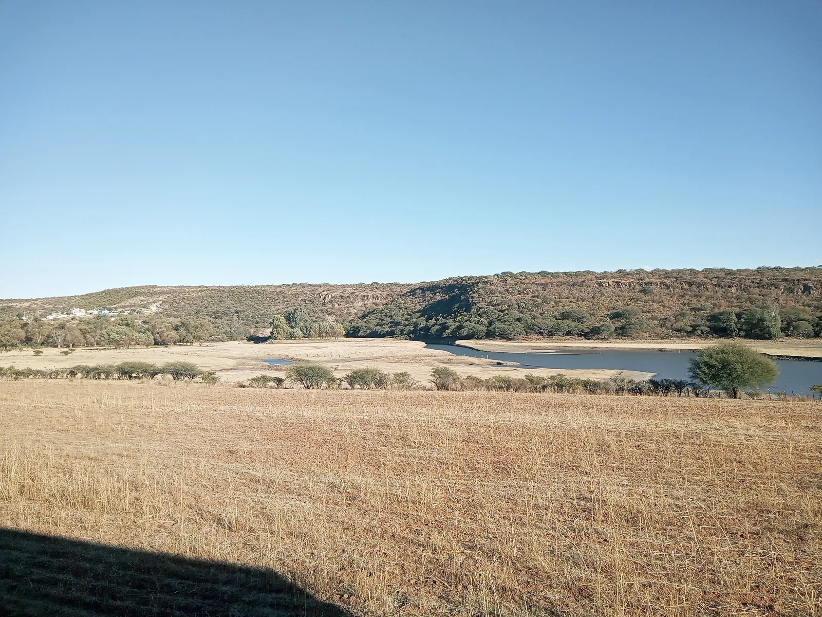 Los Panchos image 3