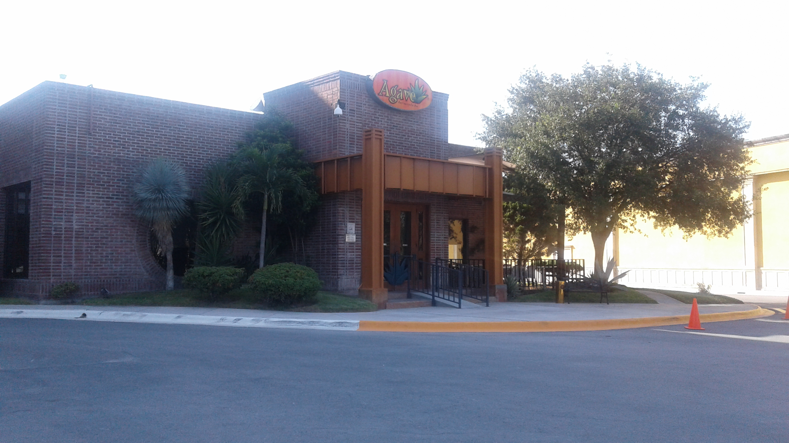 Restaurant Agave image 3