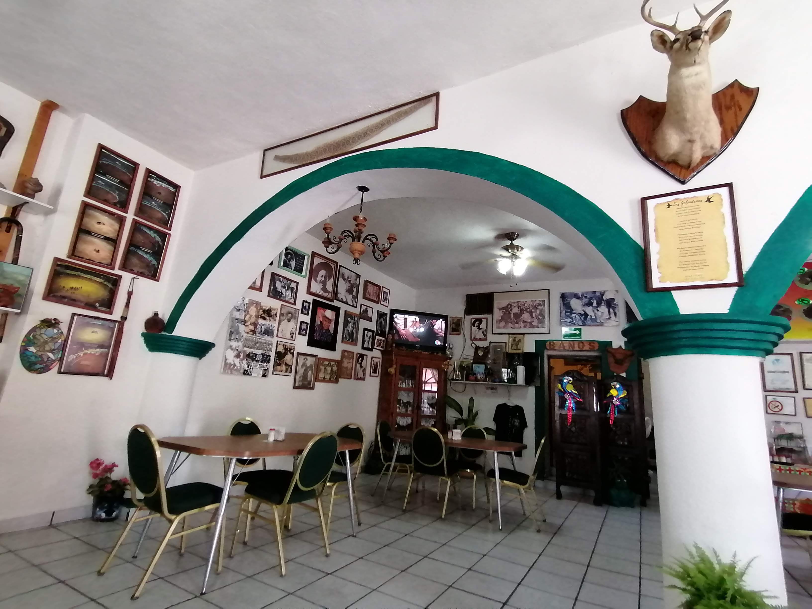 Las Golondrinas image 1