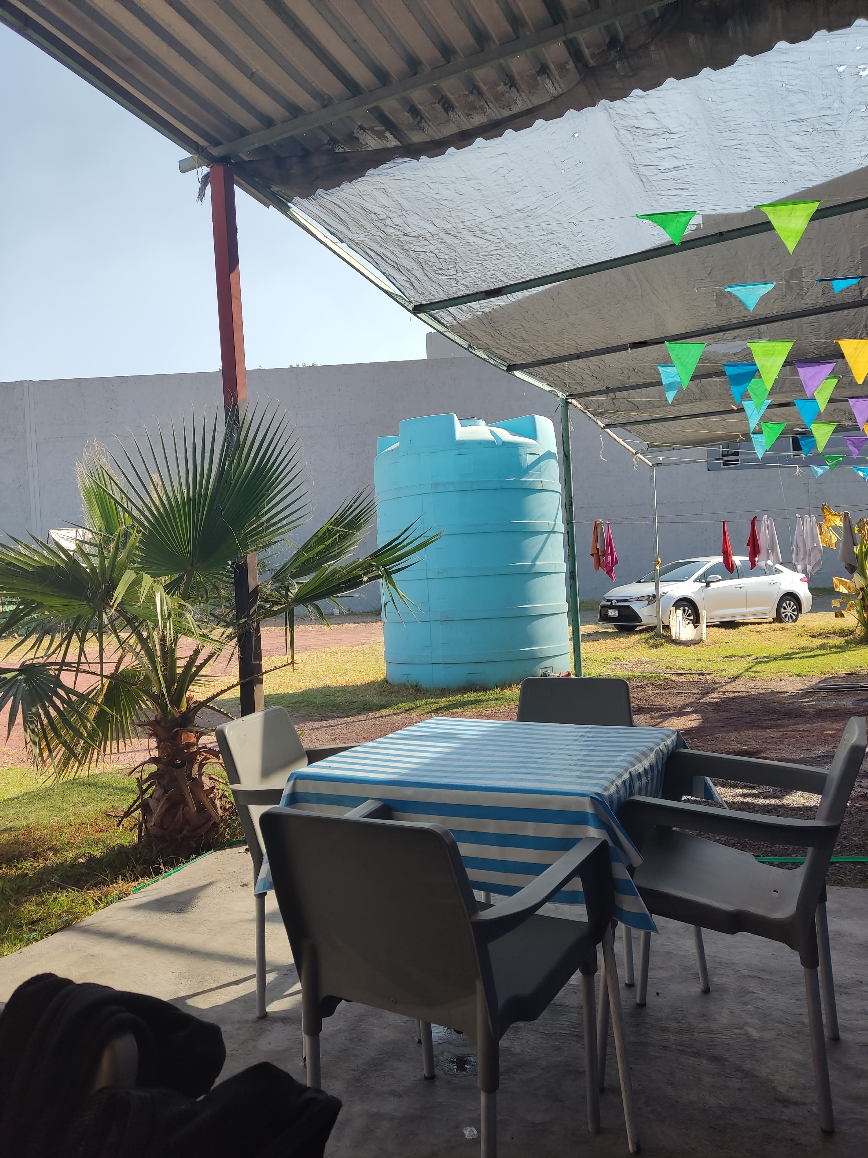 Pescados y mariscos Sinaloa image 1