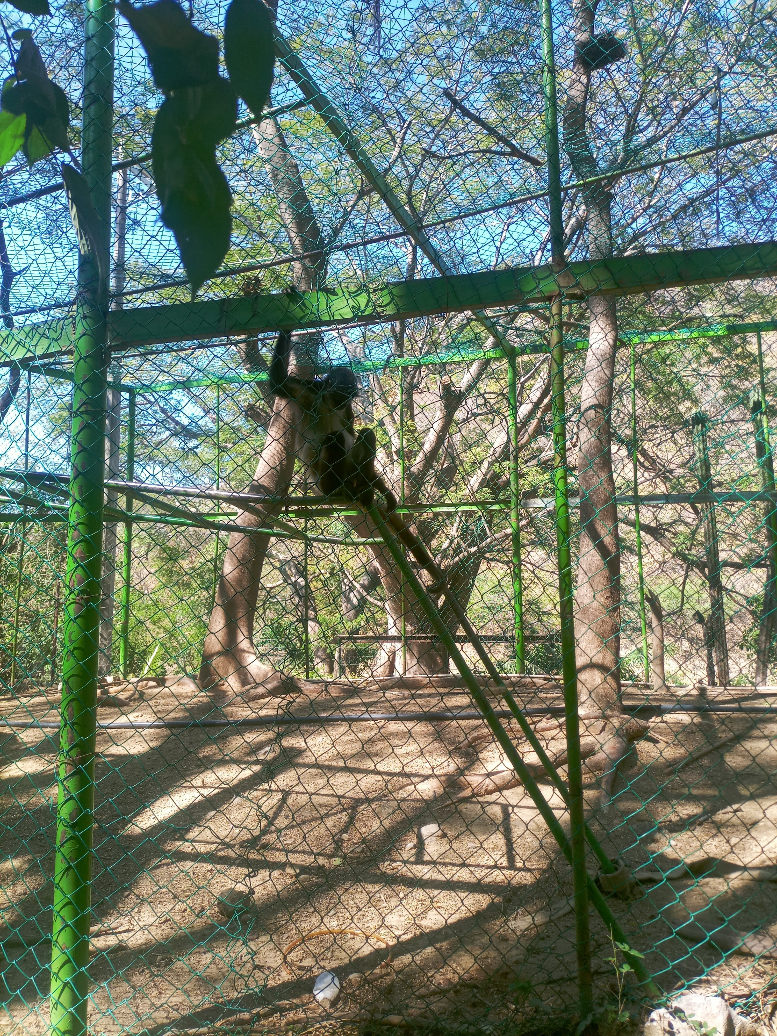 Paraje turístico el encanto de Los Guanacastles image 2