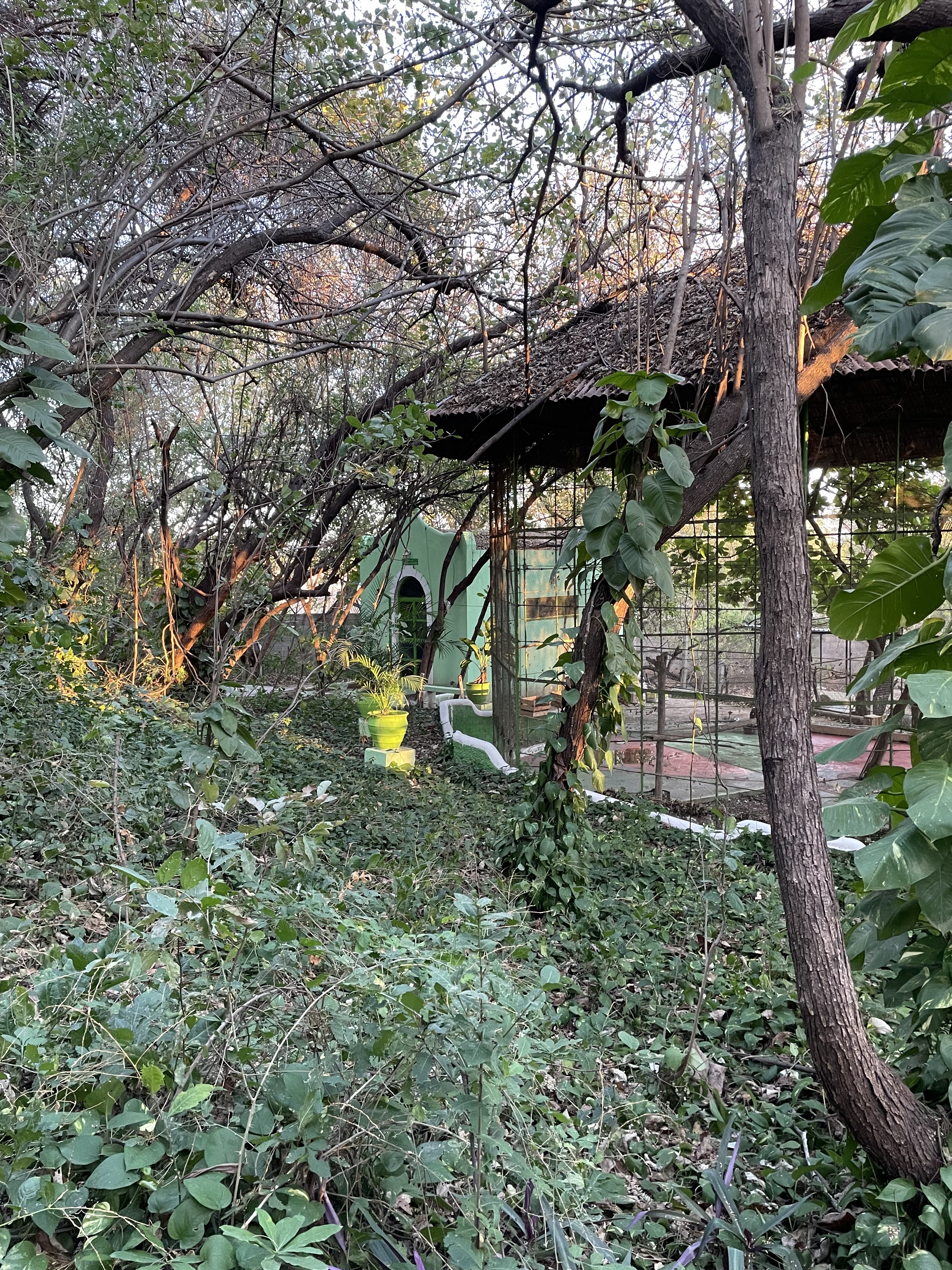 Paraje turístico el encanto de Los Guanacastles image 3