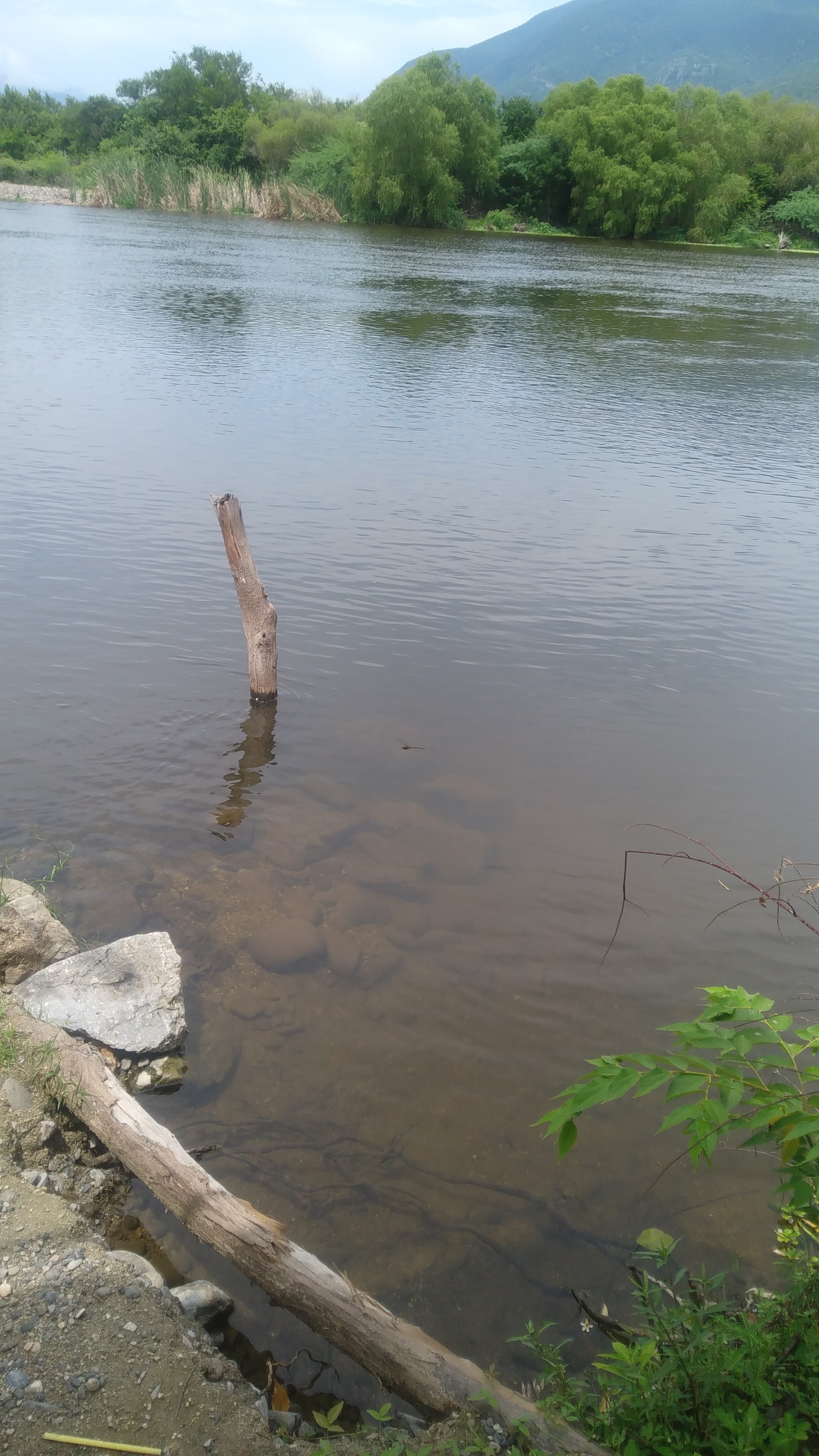 Paraje turístico el encanto de Los Guanacastles image 8