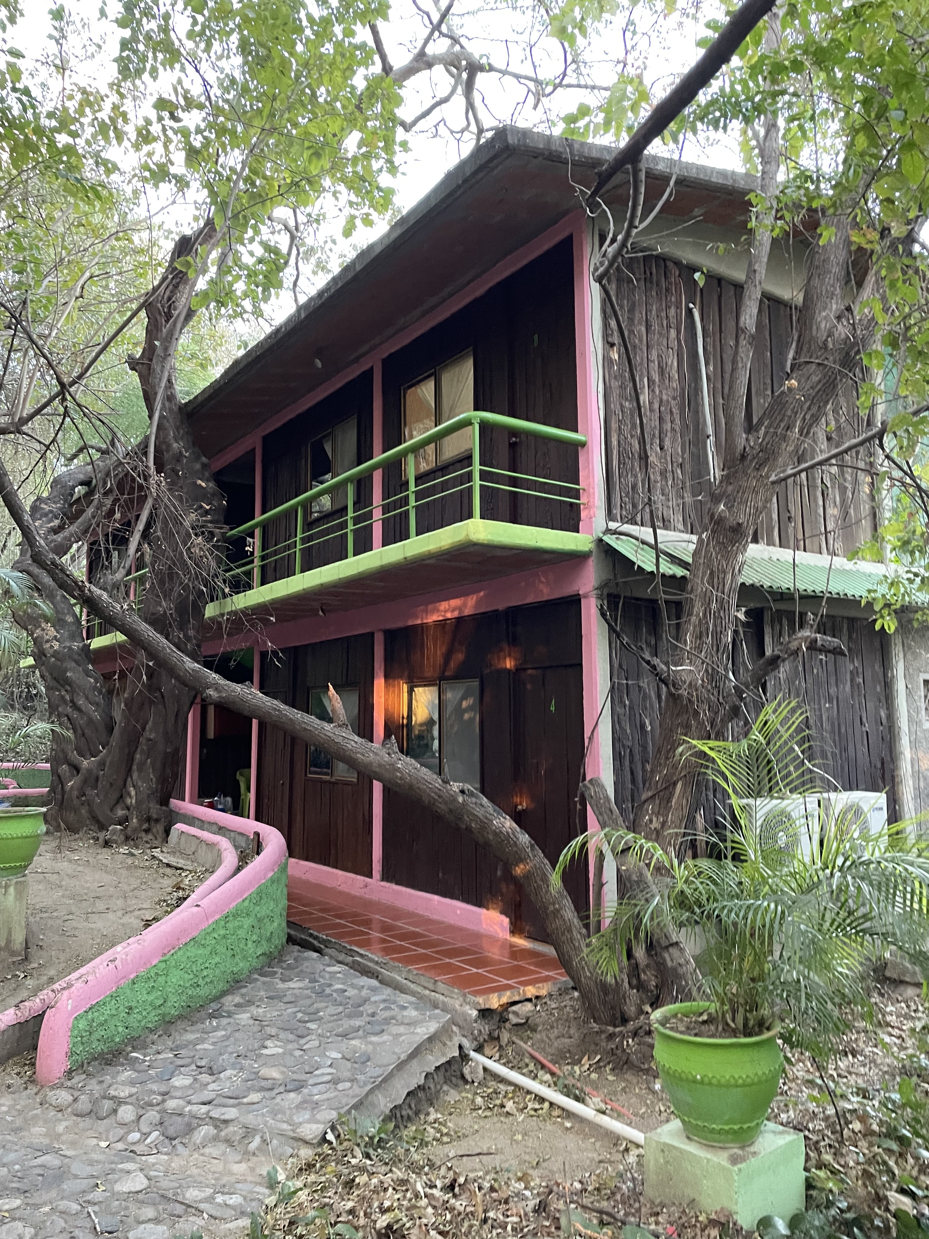 Paraje turístico el encanto de Los Guanacastles image 9