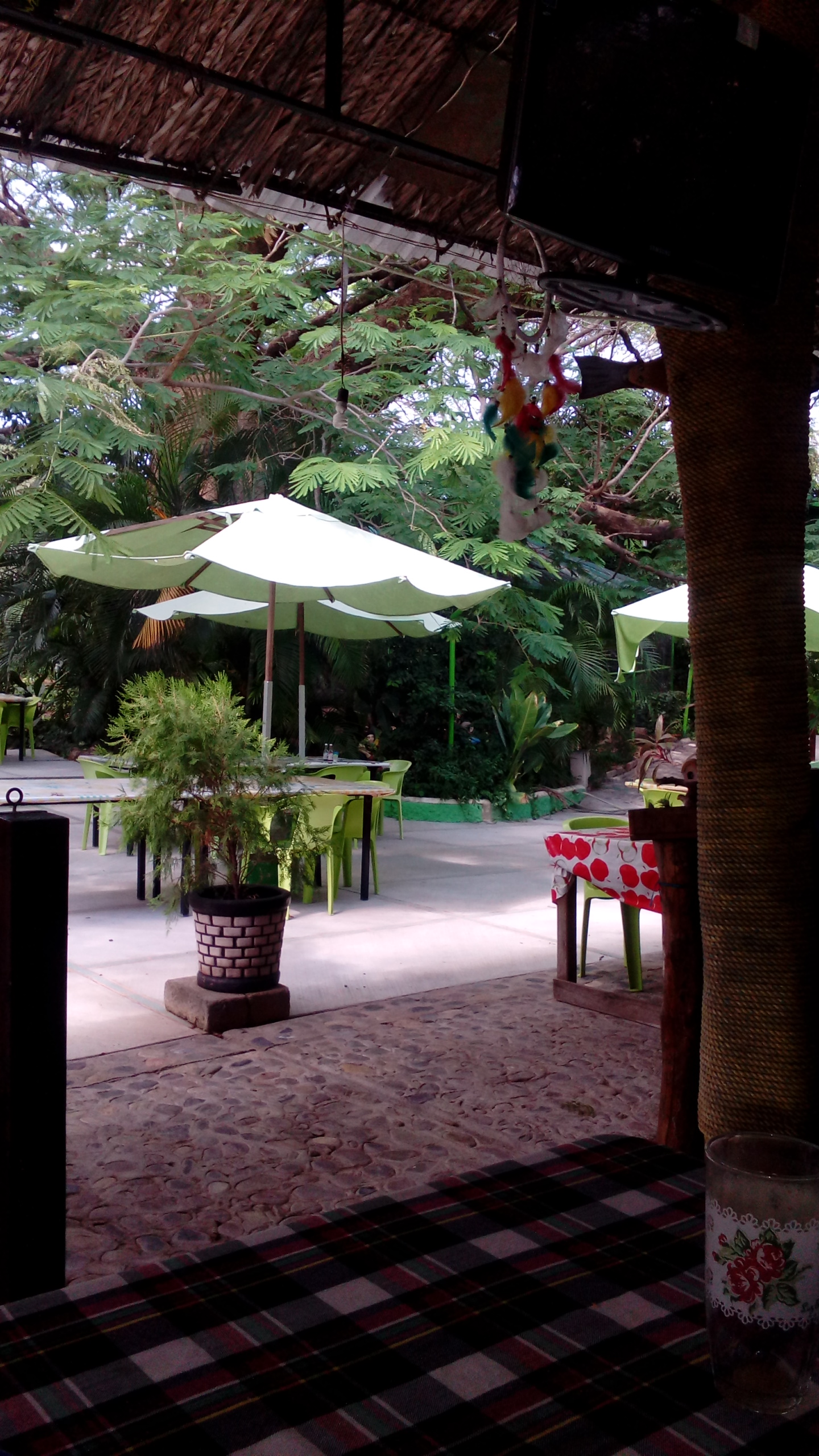 Paraje turístico el encanto de Los Guanacastles image 10