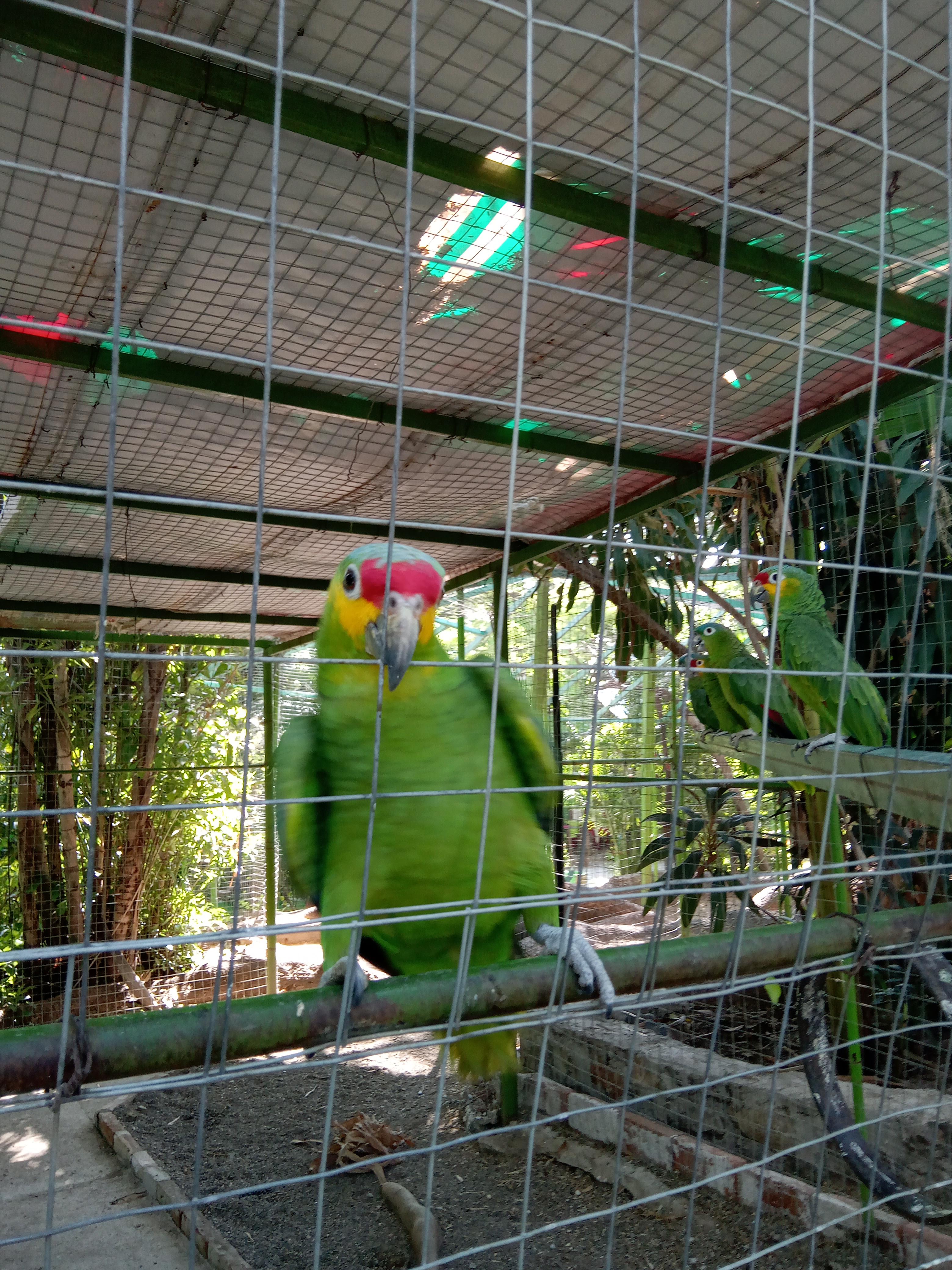 Parque Ecologico "El Encanto De Los Guanacastles" image 3