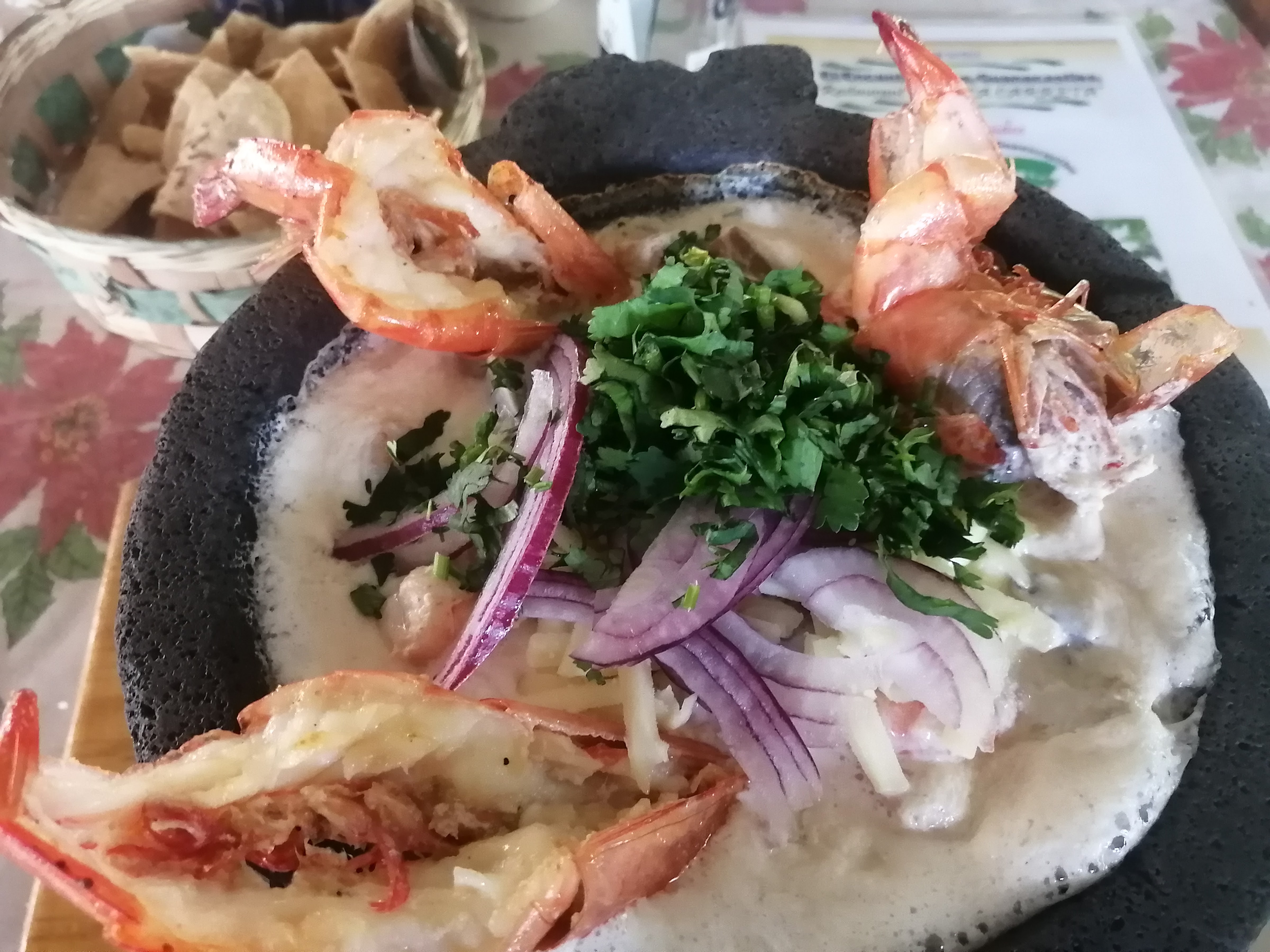 Parque Ecologico "El Encanto De Los Guanacastles" image 4