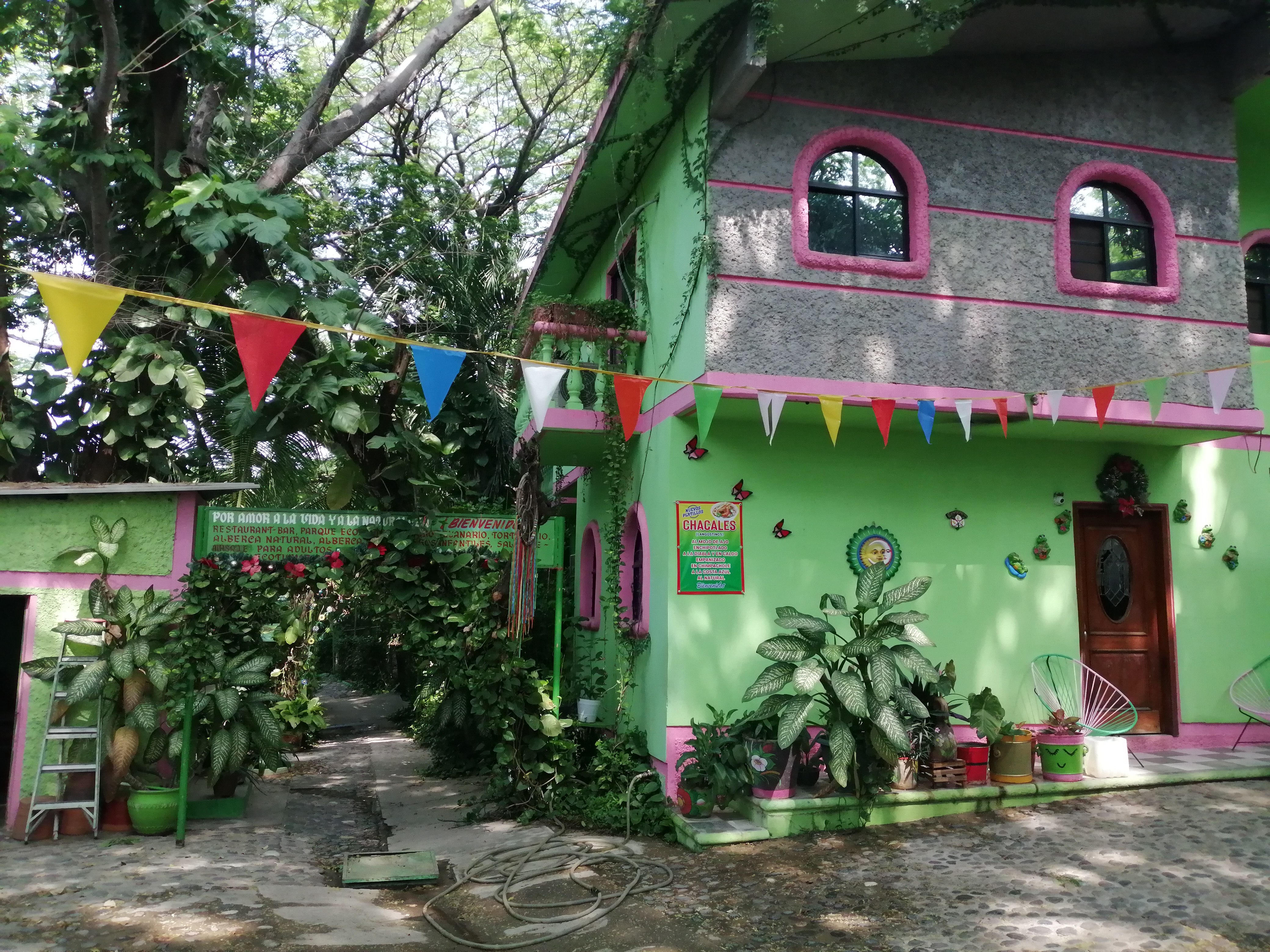 Parque Ecologico "El Encanto De Los Guanacastles" image 8