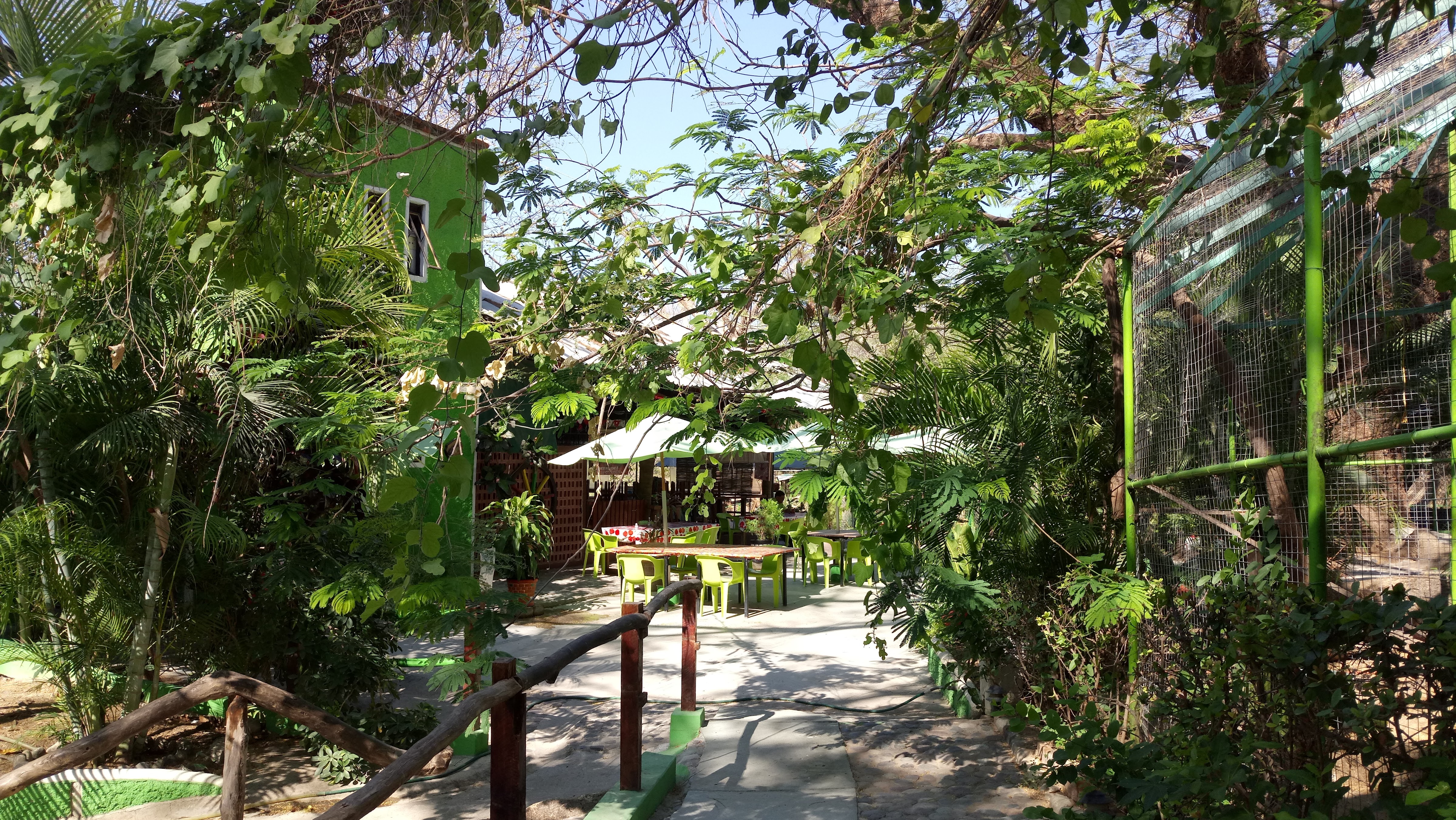 Parque Ecologico "El Encanto De Los Guanacastles" image 10