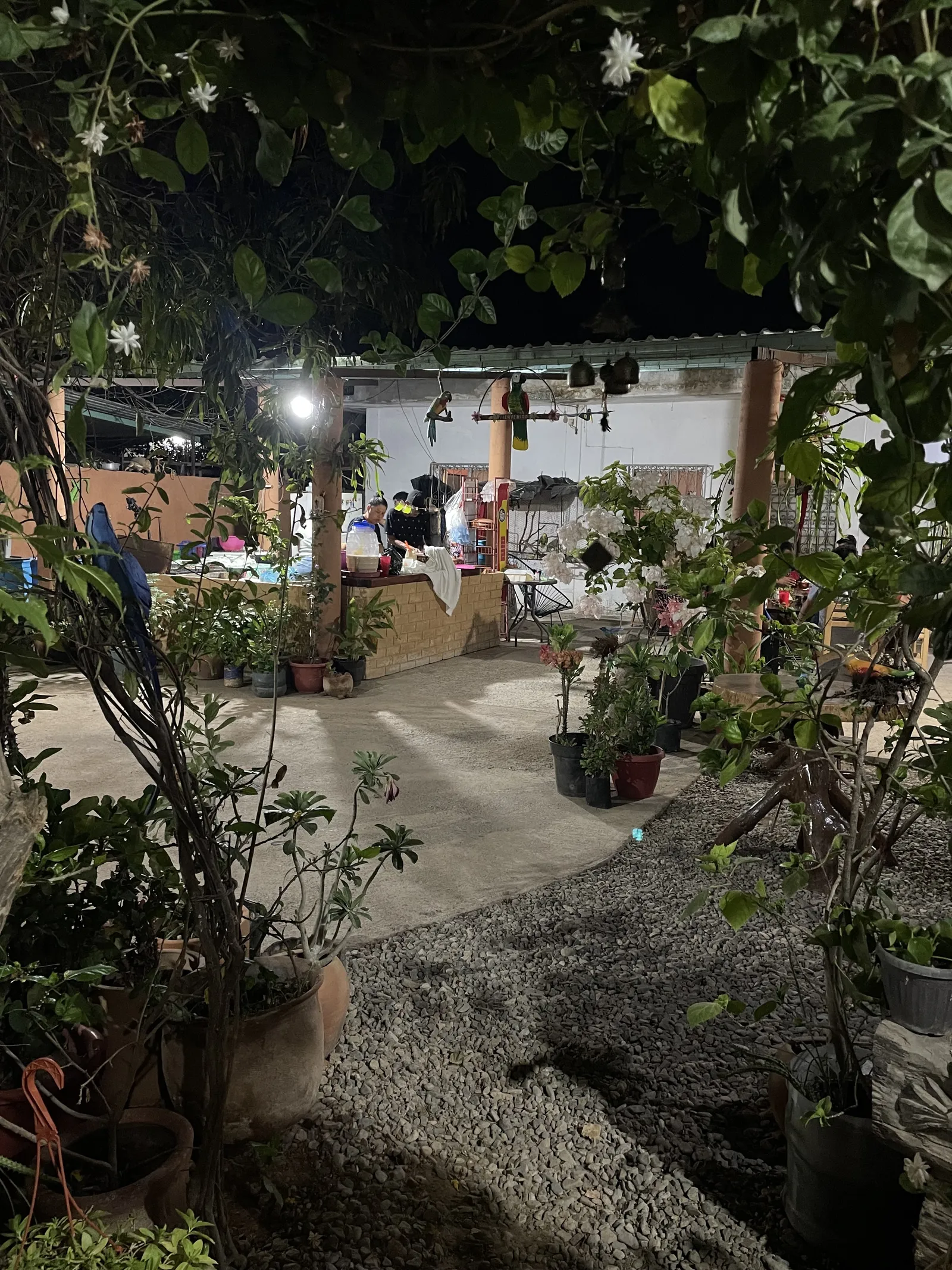 La Casa de la Abuela image 6