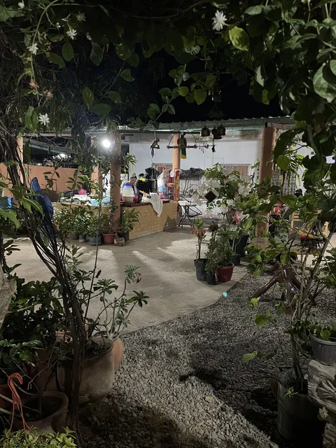 La Casa de la Abuela image 6