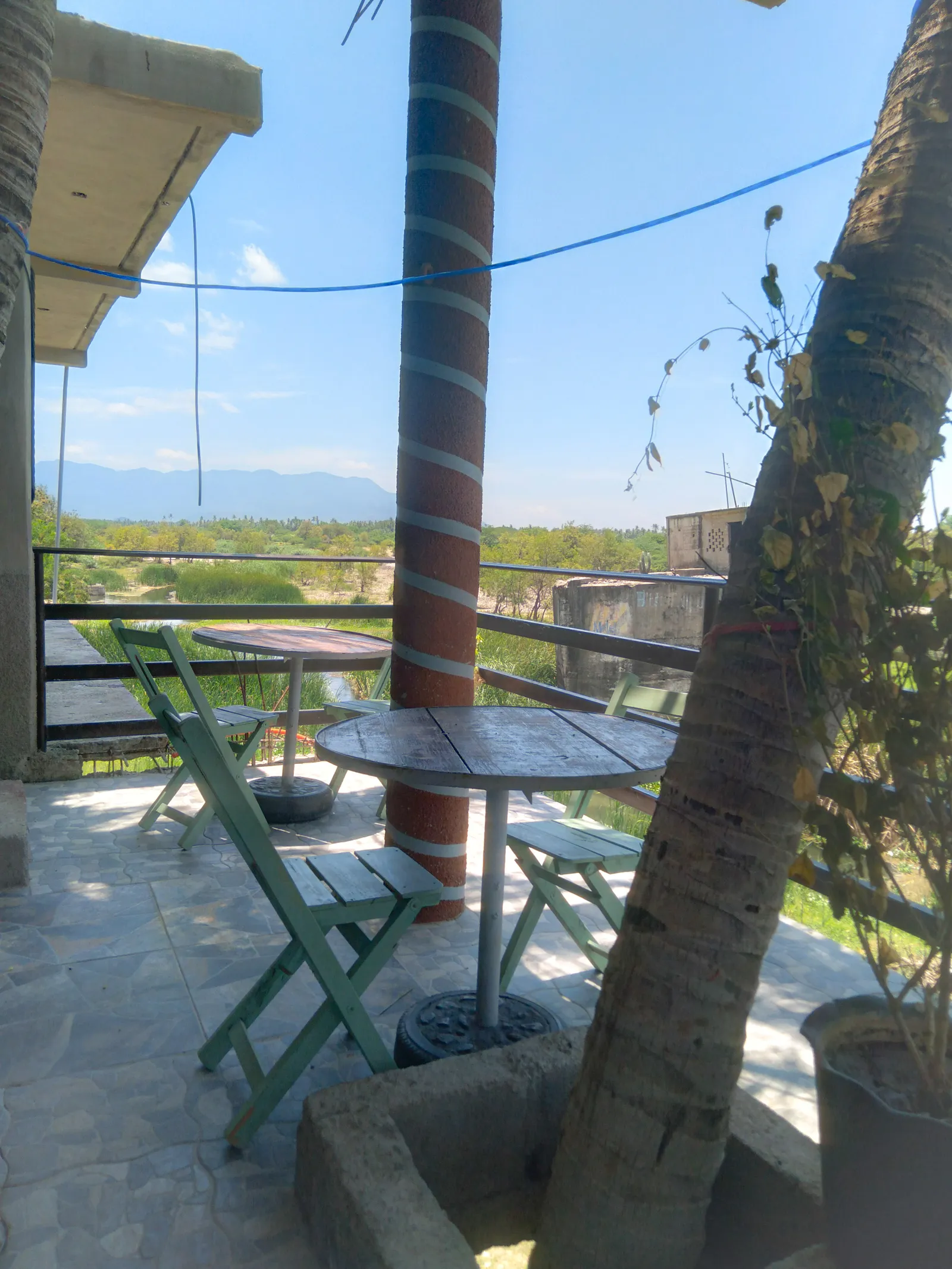 Tres cocos image 7