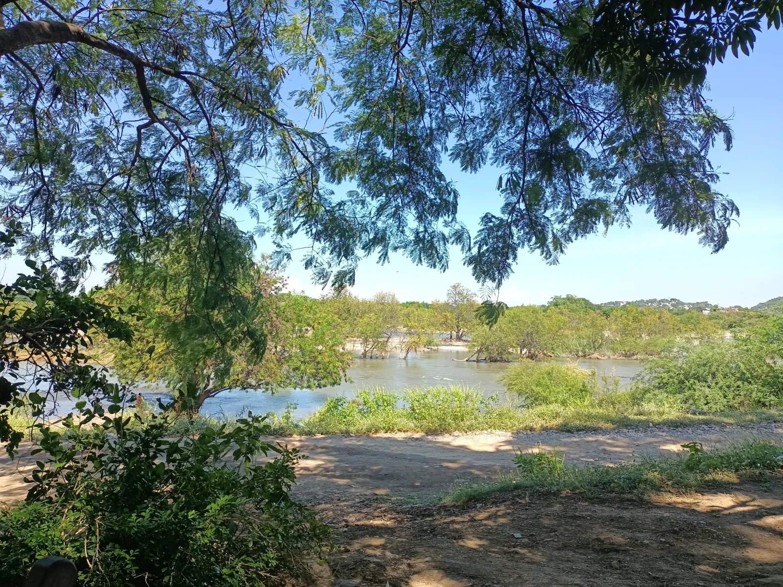 Tres cocos image 9
