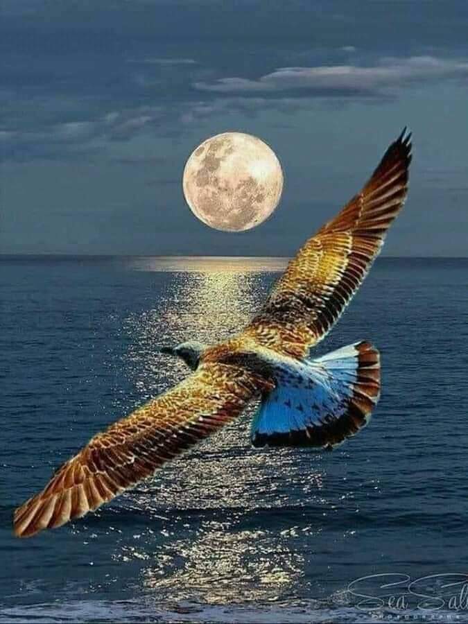 Cenaduria "Te La Parto" image 9