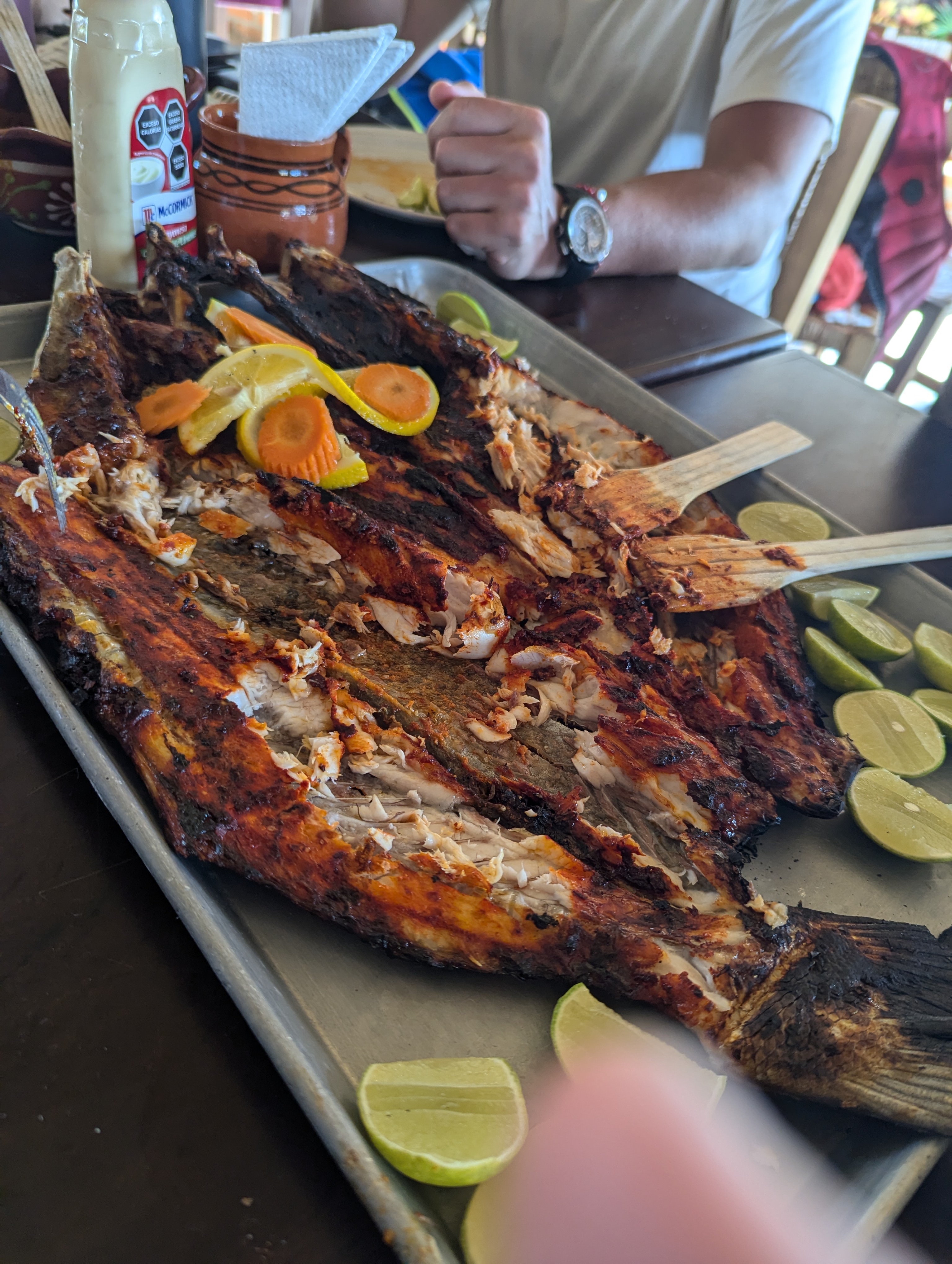 Restaurante y Club de ski, Tres Marías (Laguna) image 6