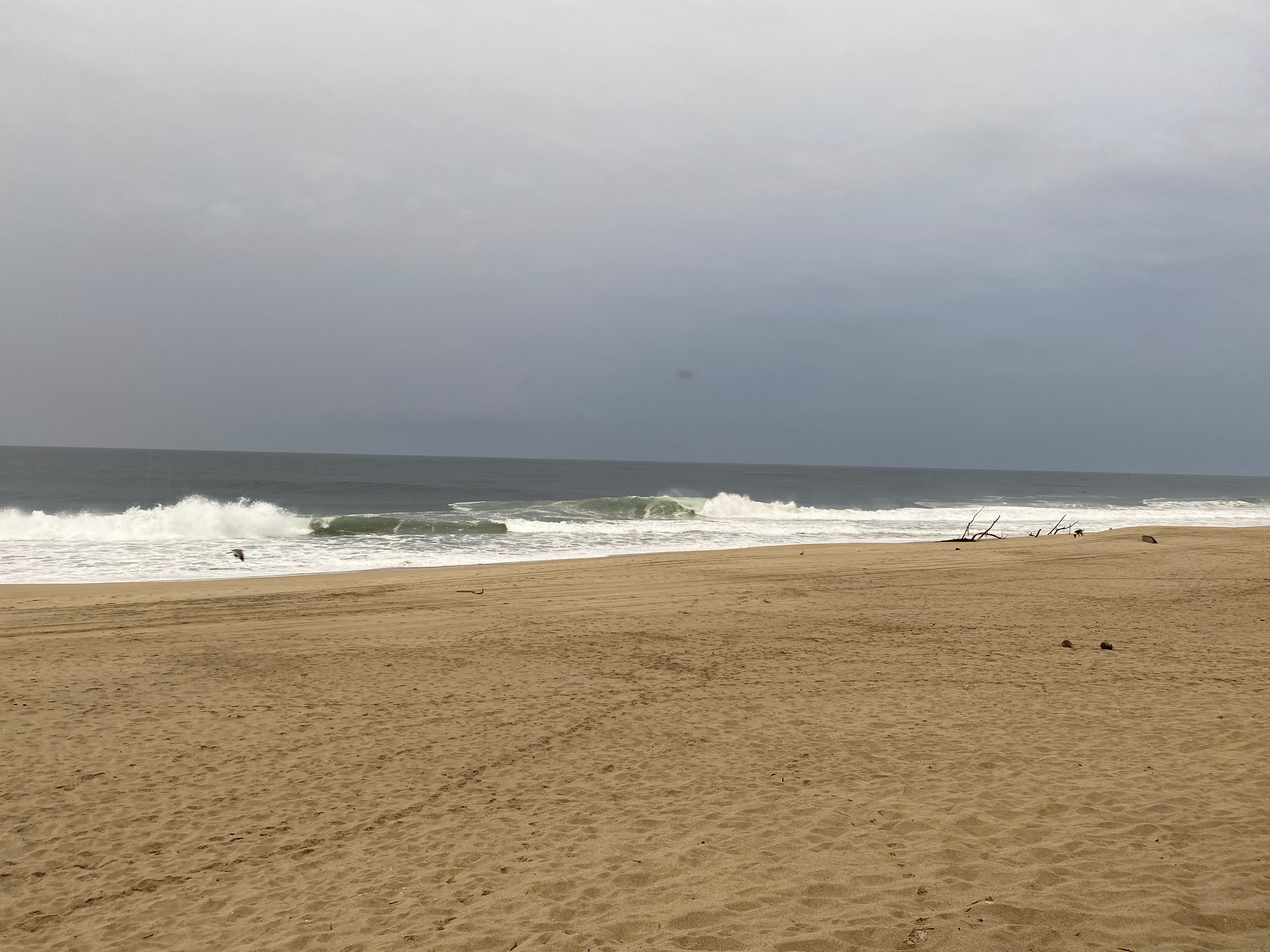 Restaurant Hotel Nautilus image 3