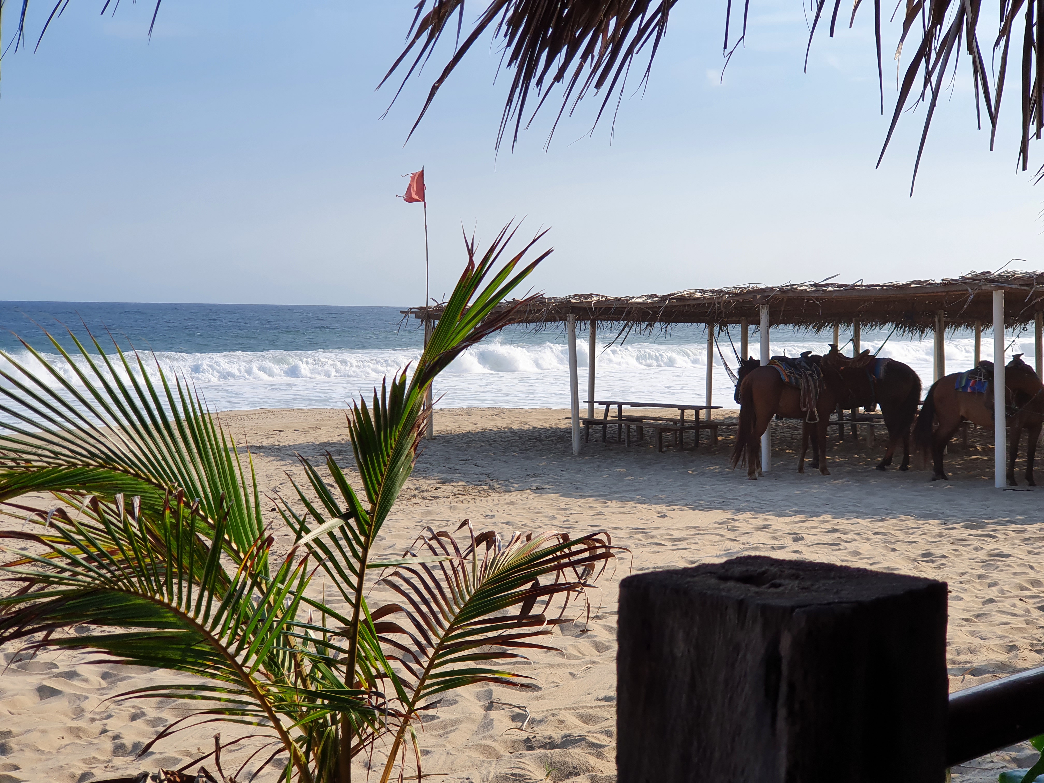 Restaurante 2 Vistas. TORTUGARIO image 7