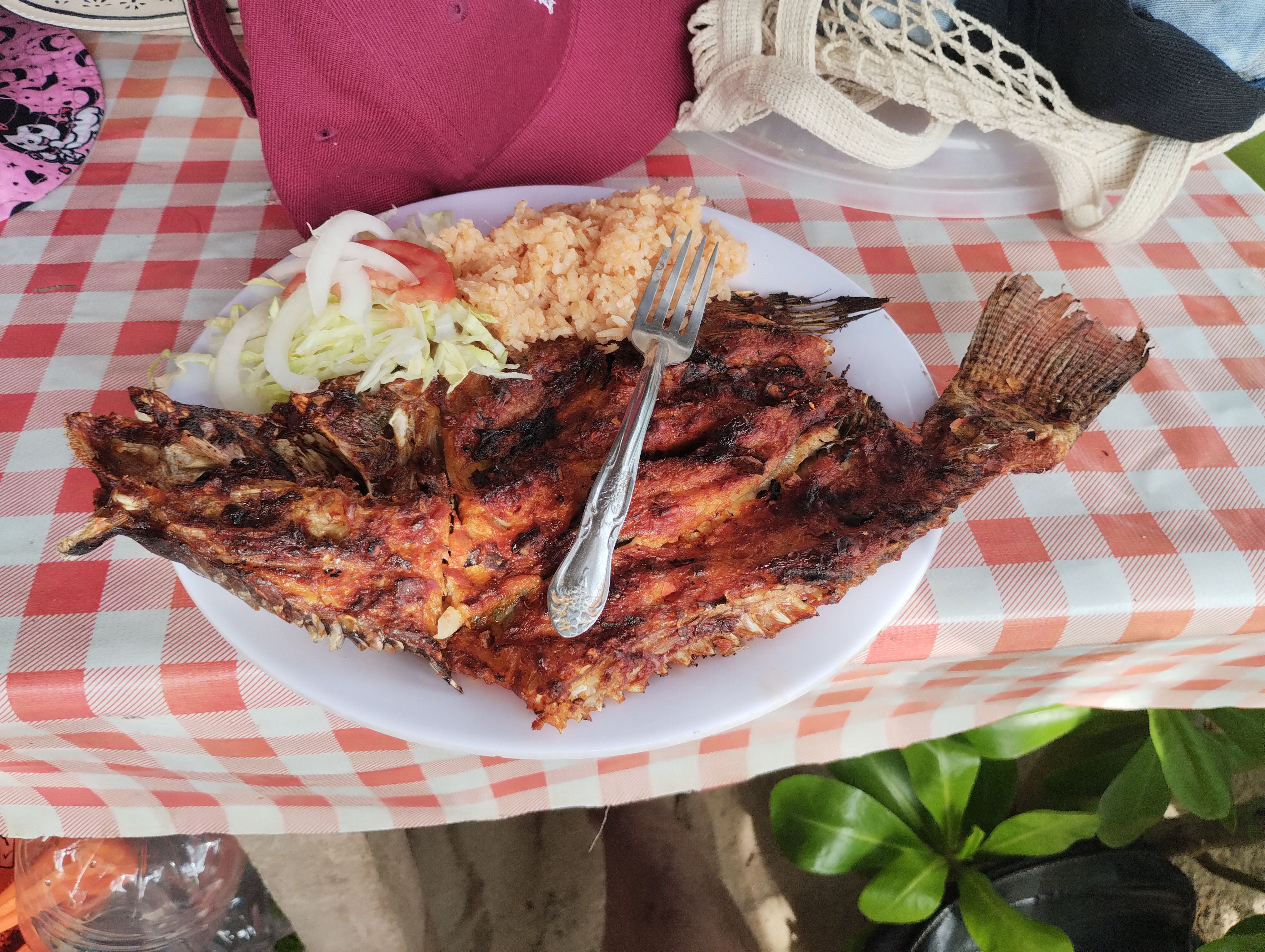 Restaurante 2 Vistas. TORTUGARIO image 9